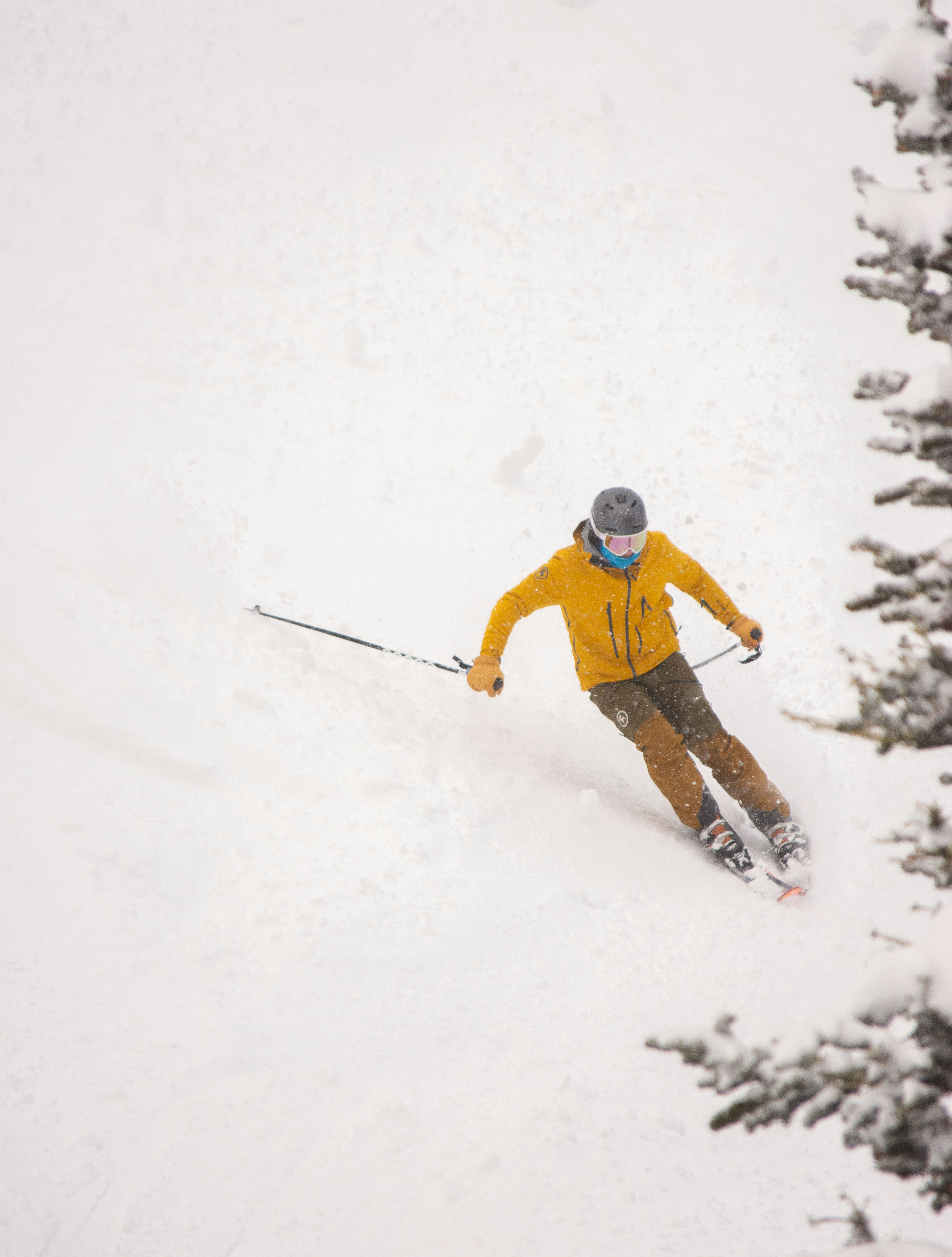 Photo by alexmoliski