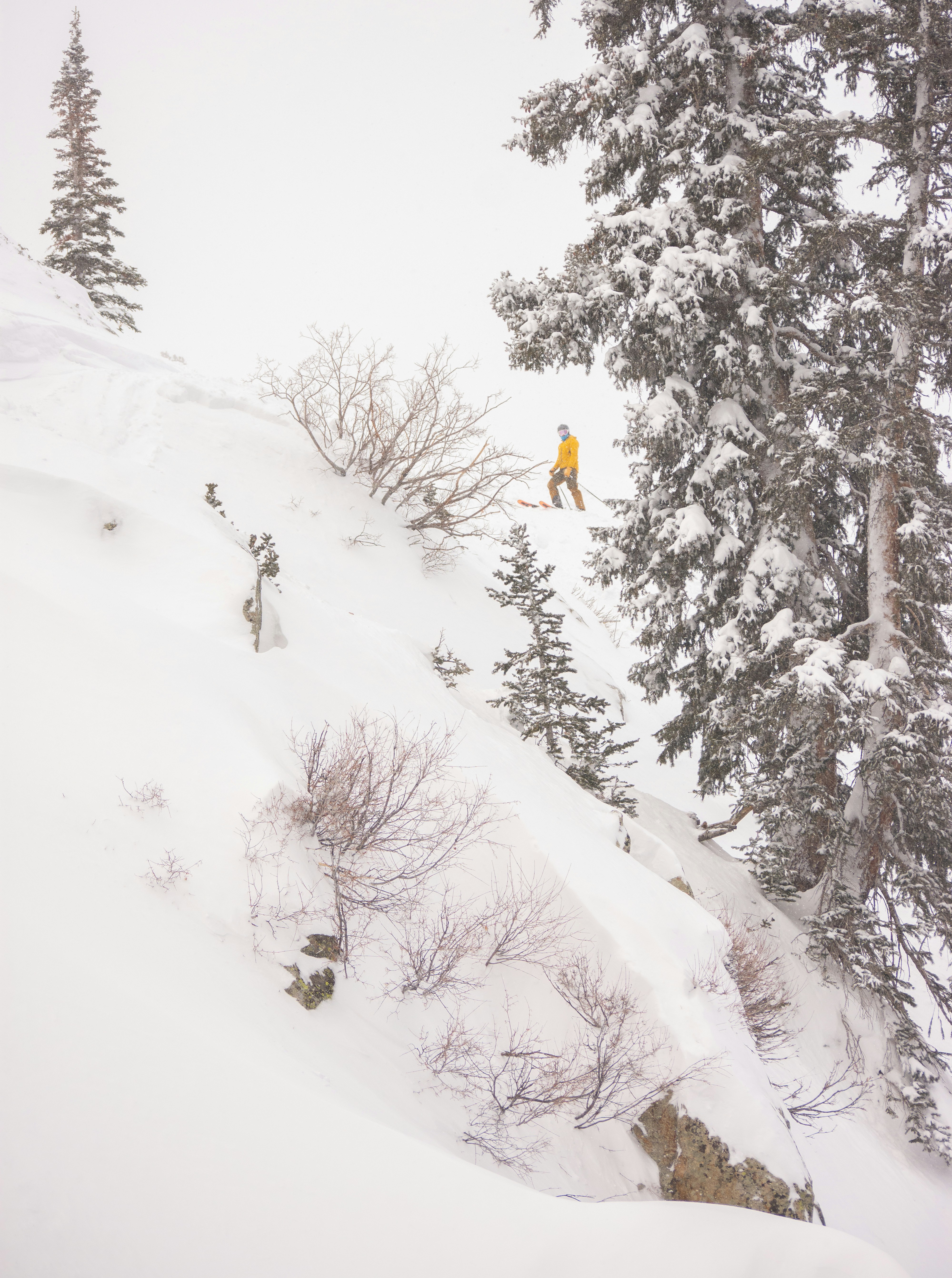 Photo by alexmoliski