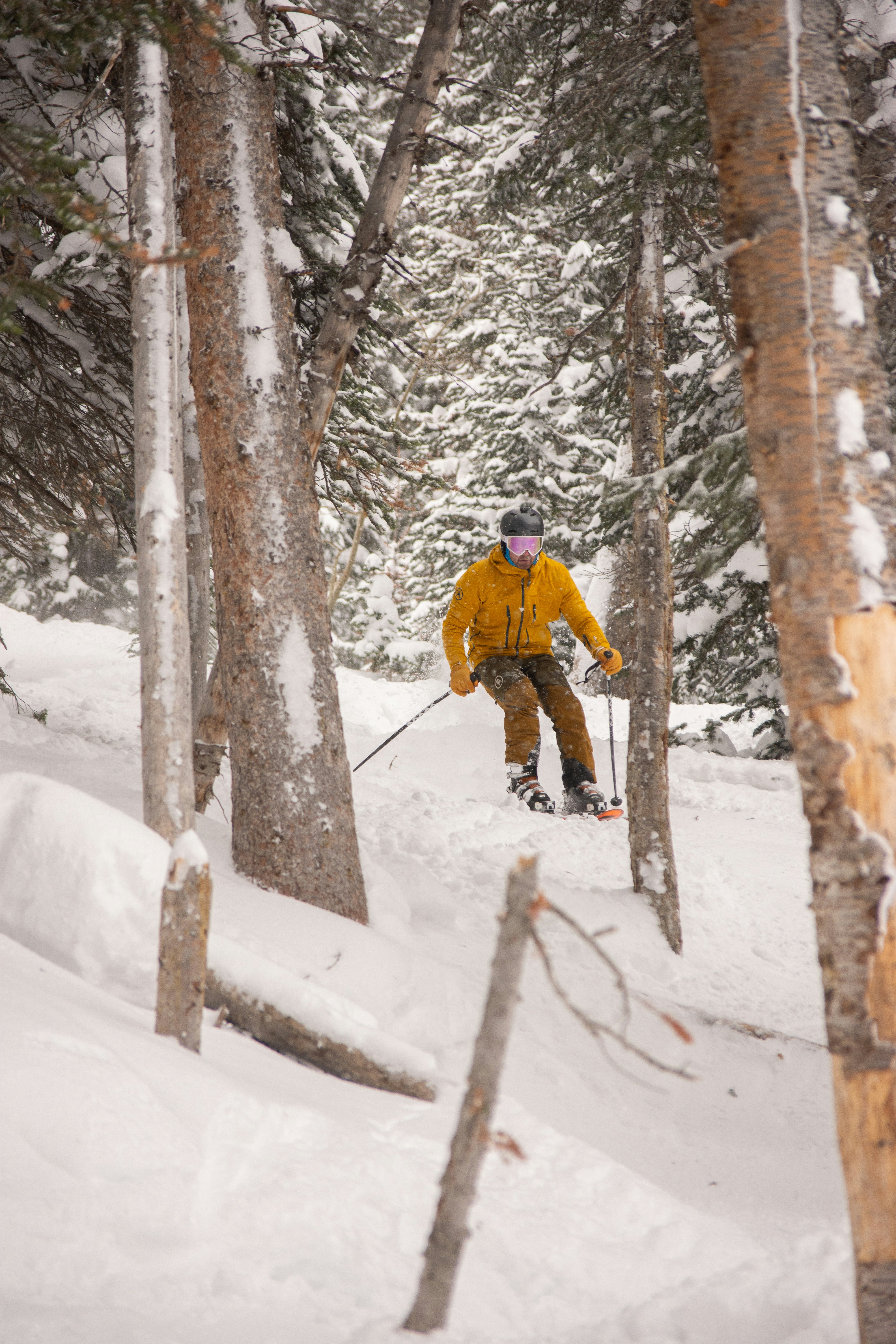 Photo by alexmoliski