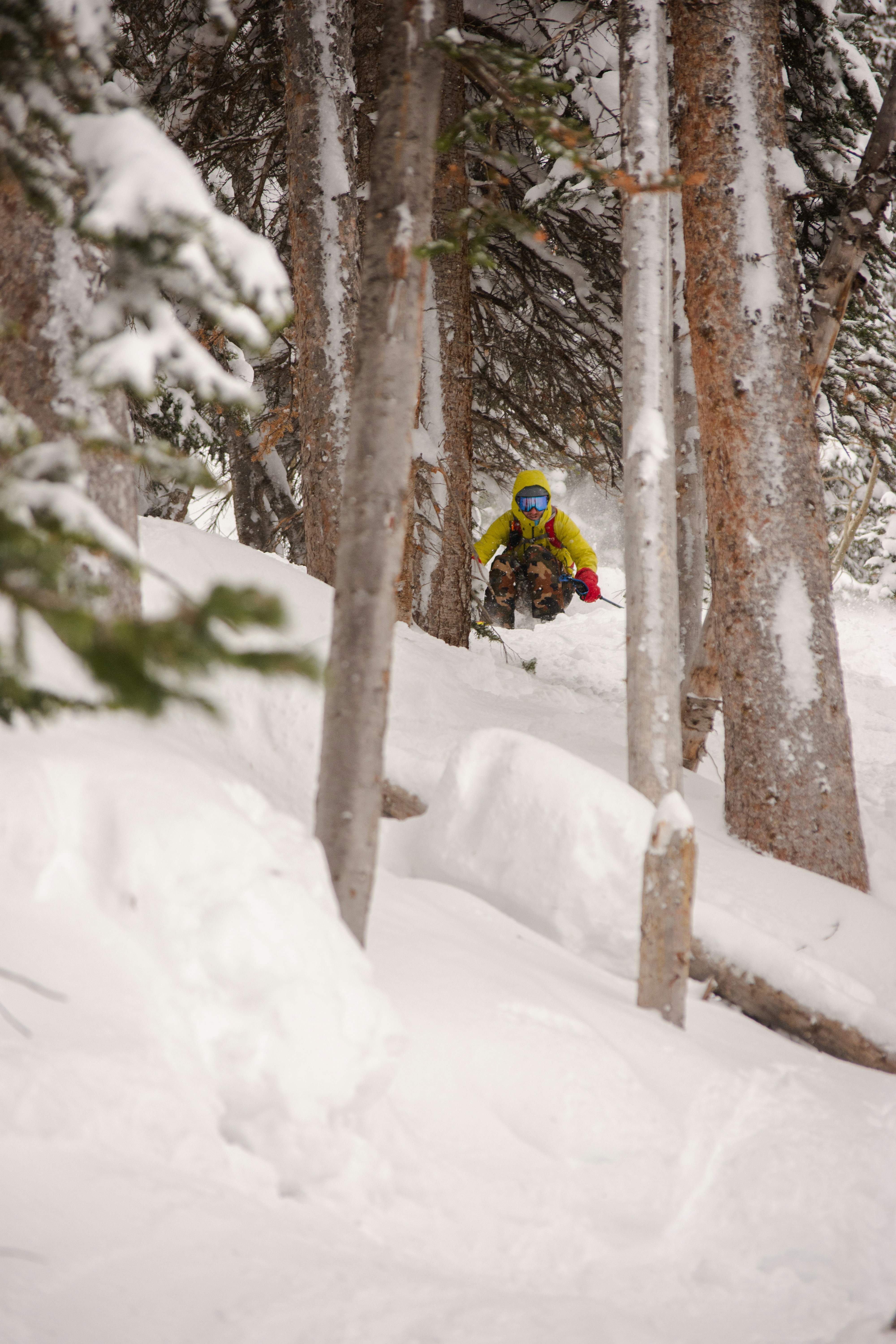 Photo by alexmoliski