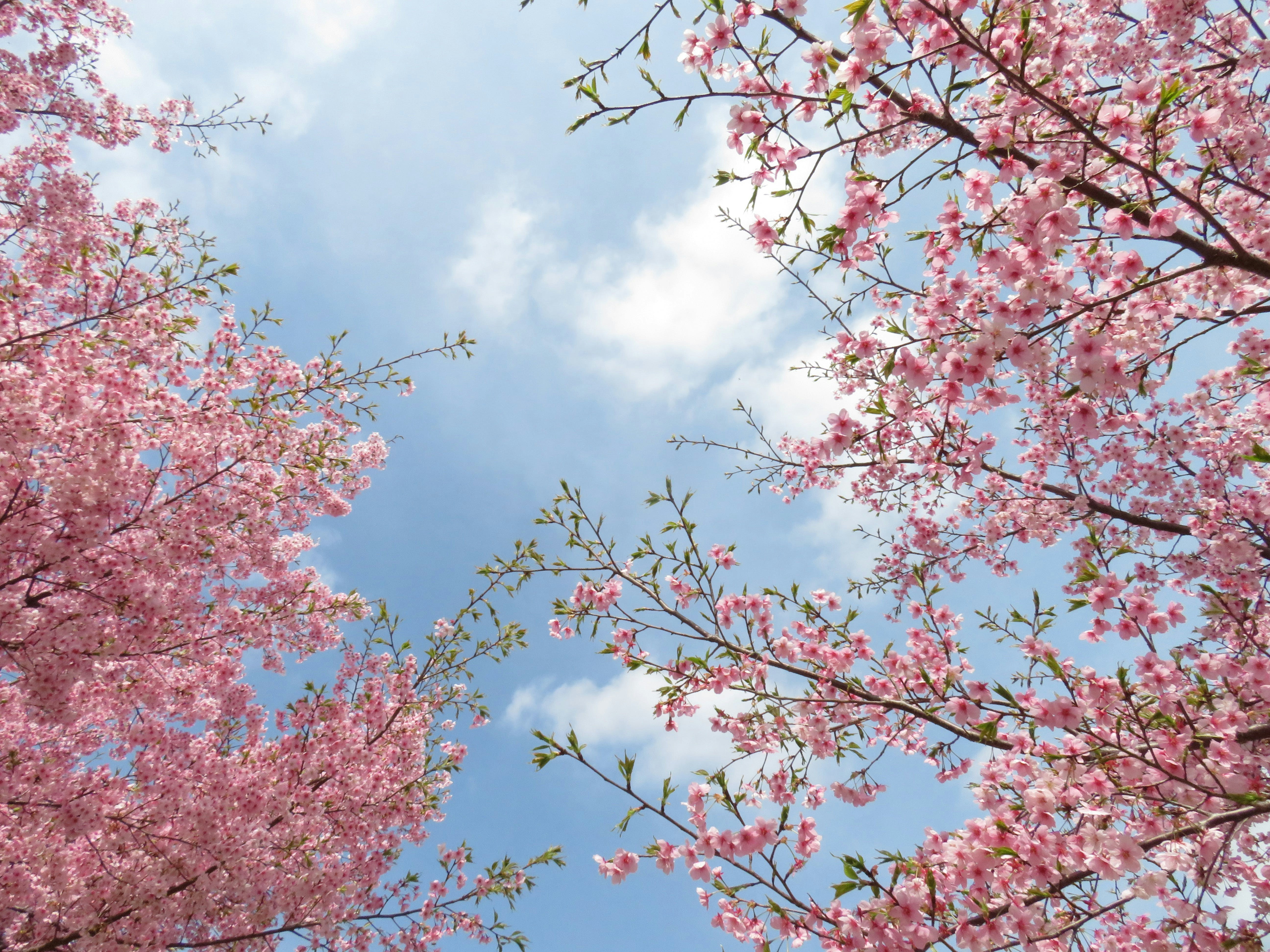 Photo by nolla_photos