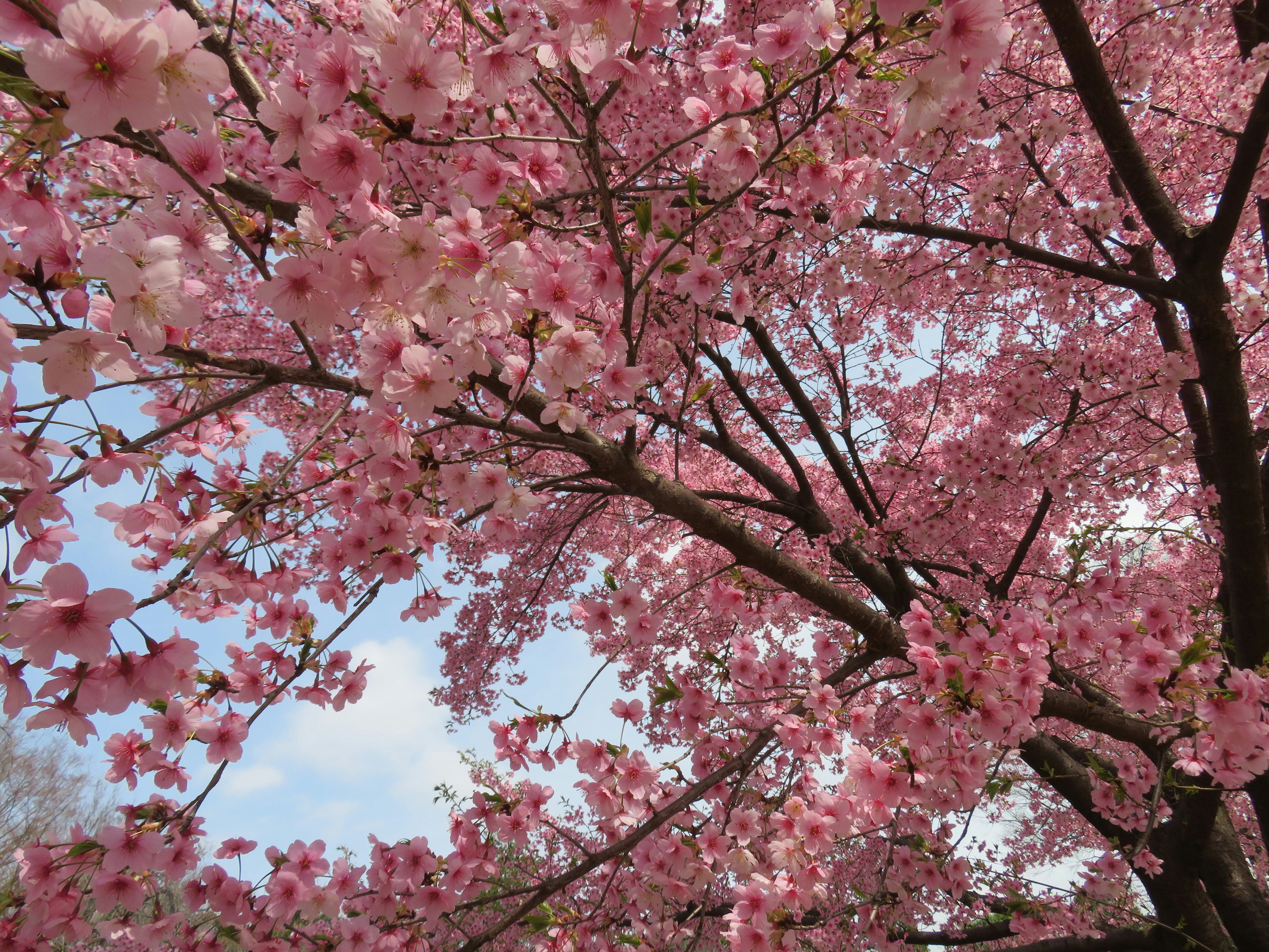 Photo by nolla_photos