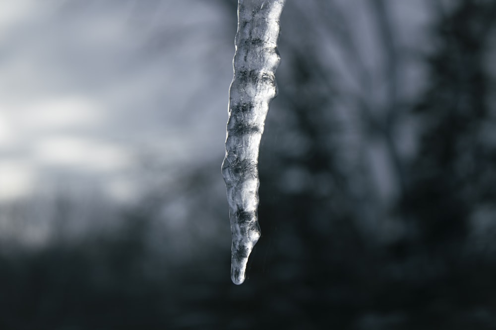 a frozen icicle hanging from a tree branch