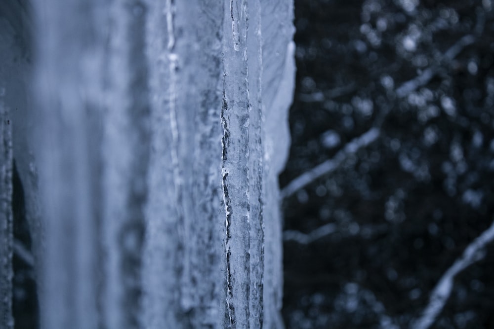 icicles hanging from a window with trees in the background