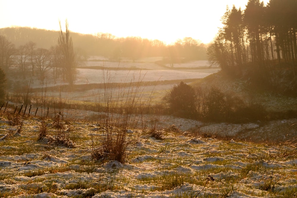 a snow covered field with trees in the background