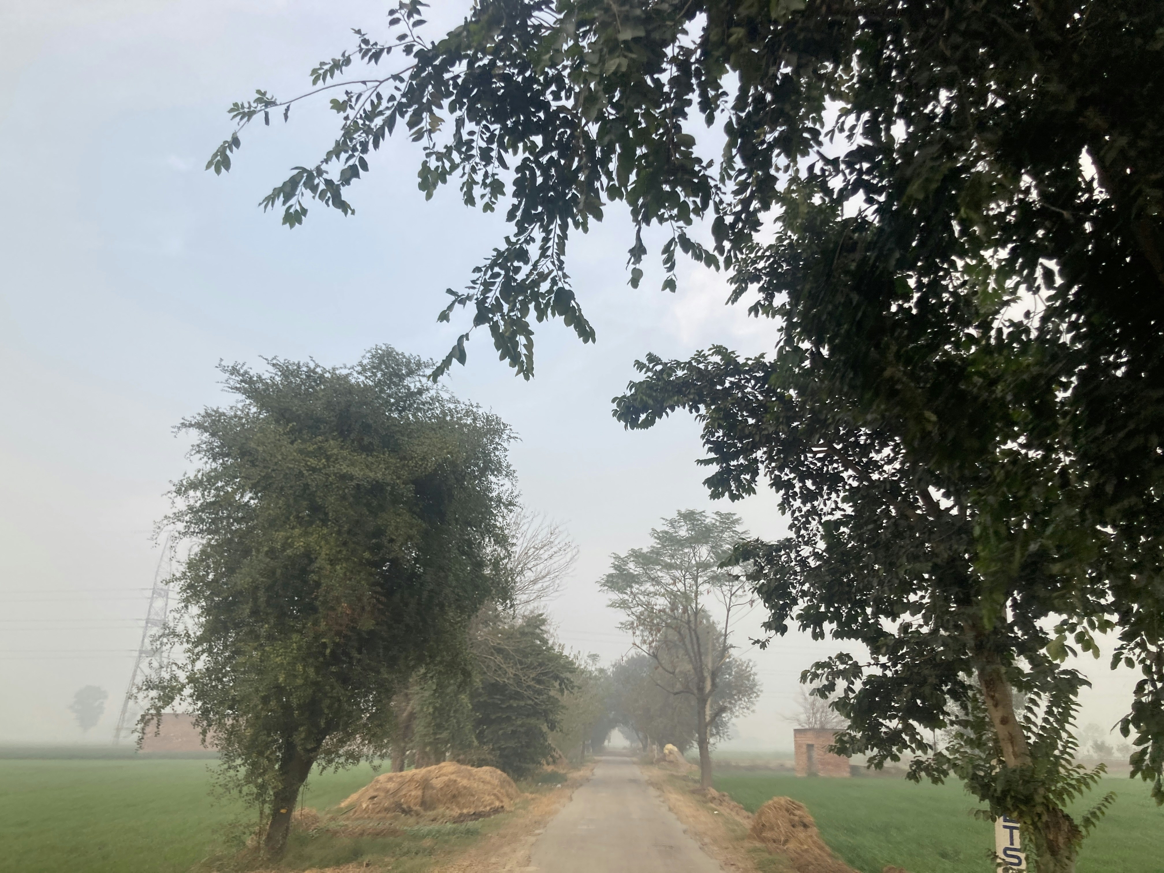 A foggy and smoggy landscape in Punjab