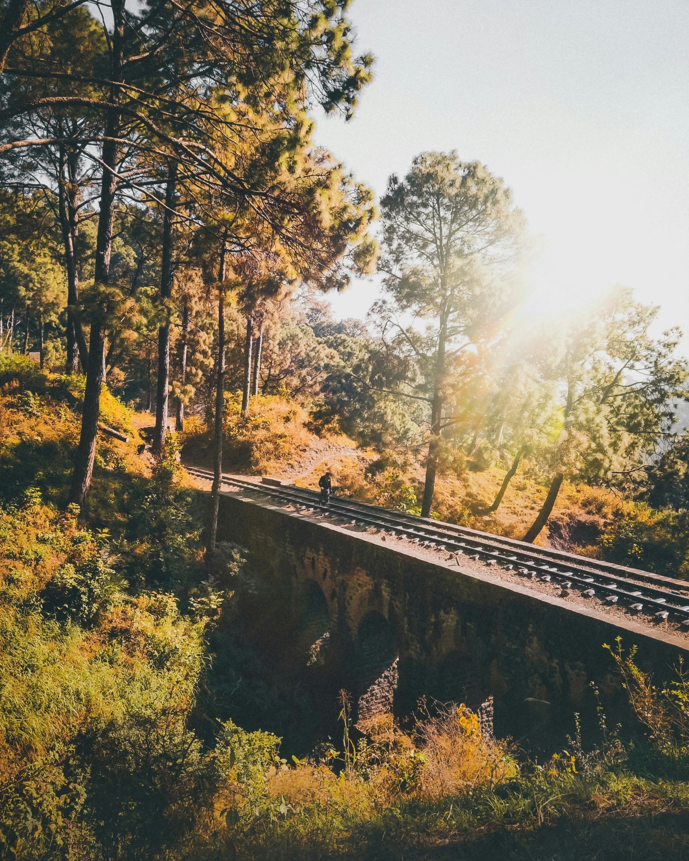 Photo by imanavsarao