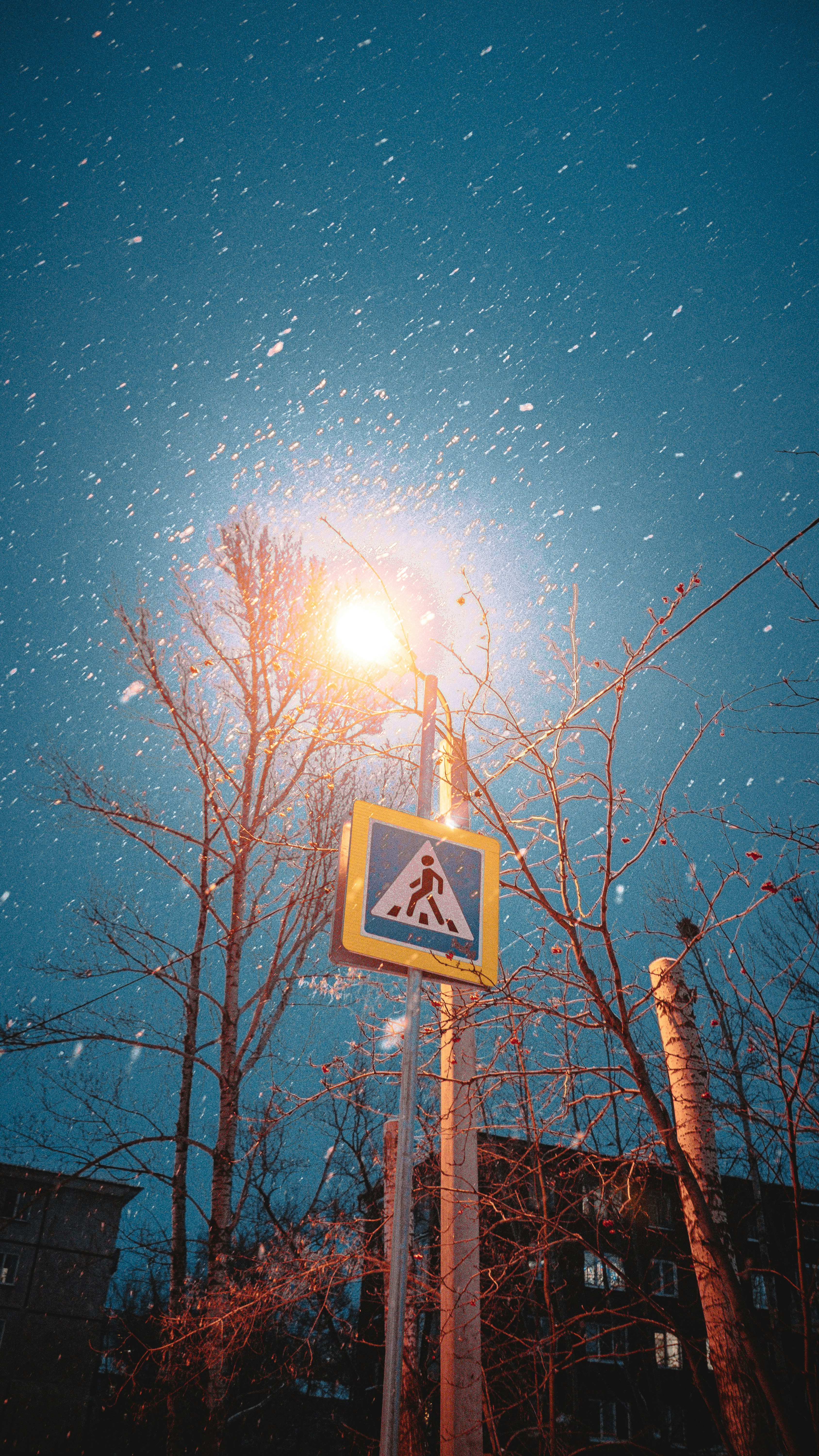 Photo by sergeyuxui