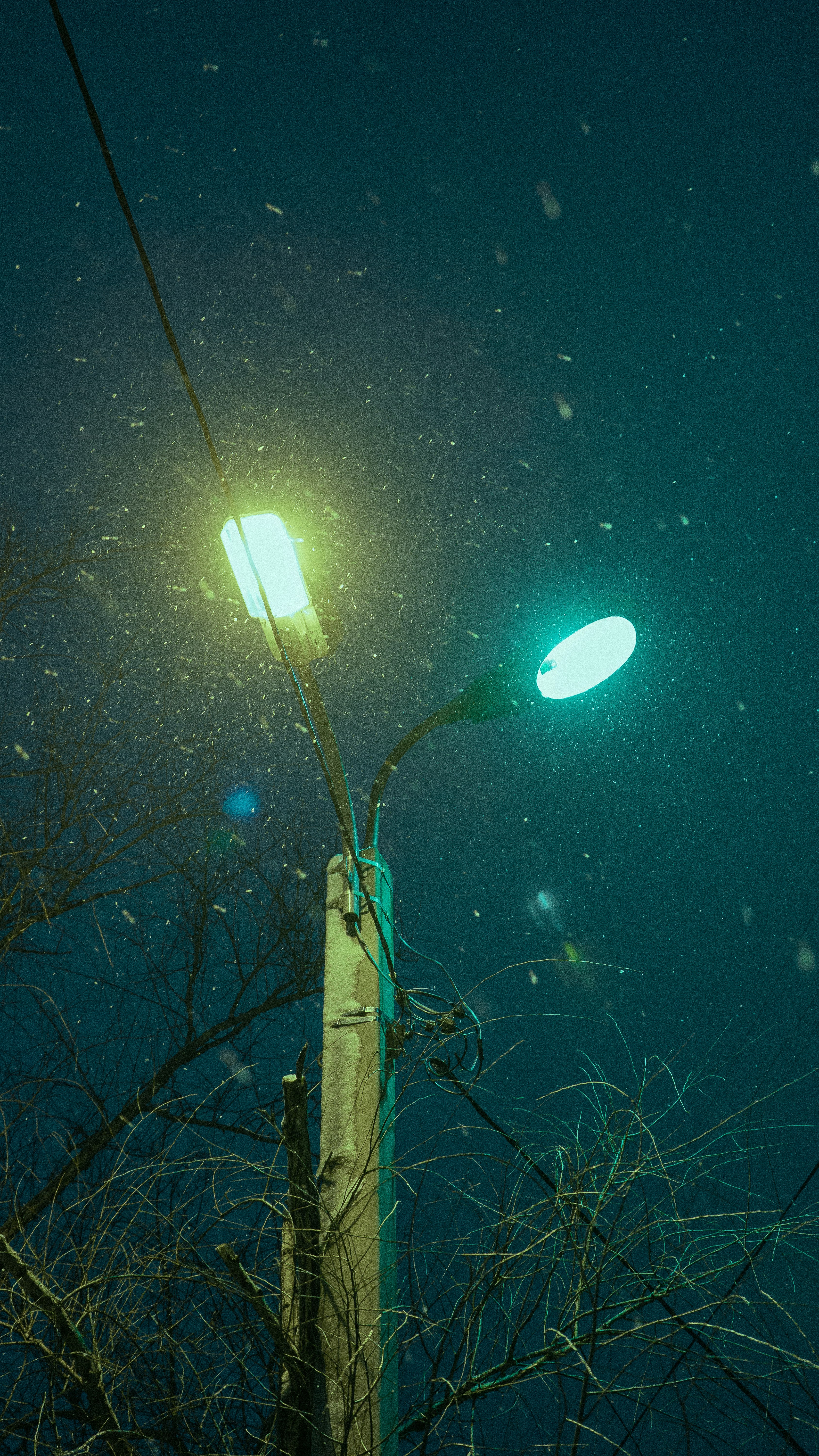 Photo by sergeyuxui