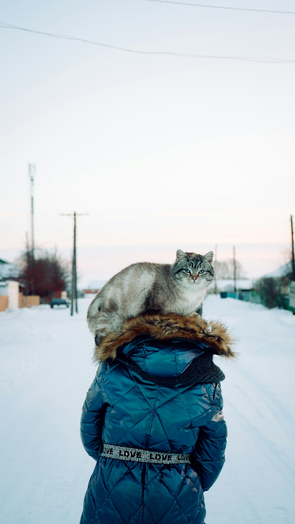 a cat sitting on top of a woman's shoulders