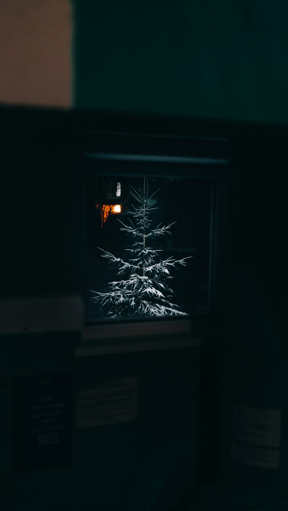 una habitación oscura con una ventana y un árbol