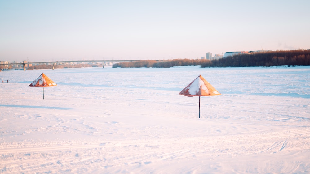 un par de paraguas que están en la nieve