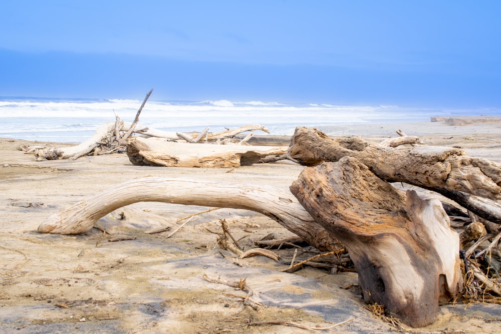a large piece of driftwood sitting on top of a sandy beach