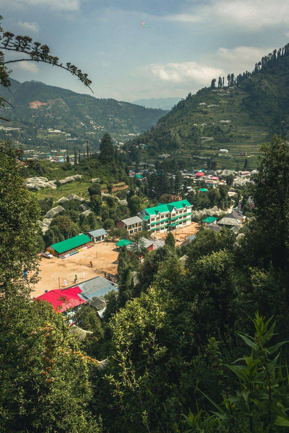 a view of a village in the middle of a forest