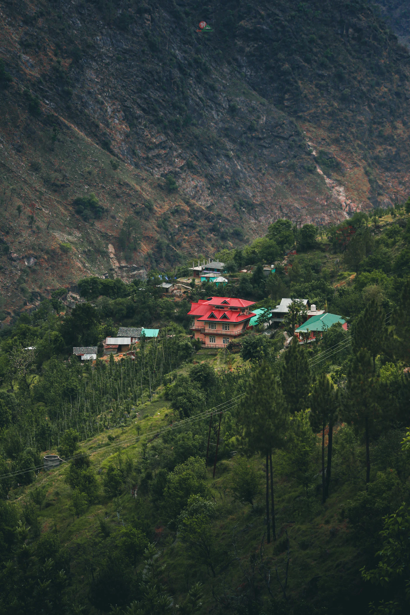 A house among the deodars