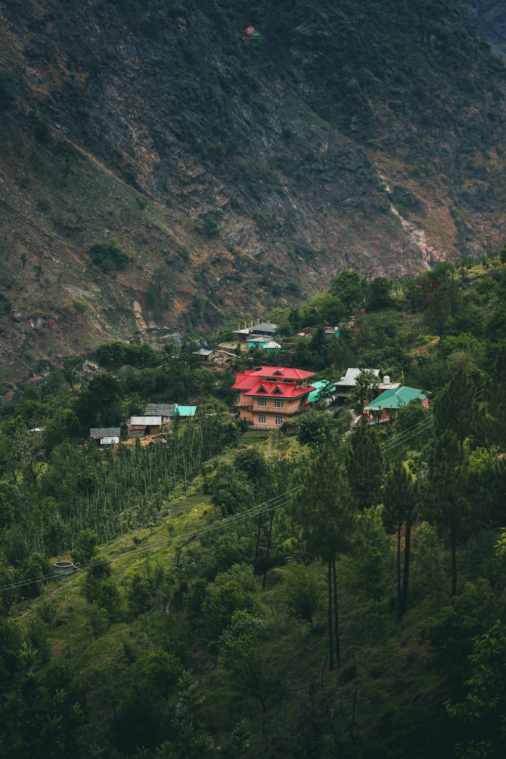 a house on a hill surrounded by trees