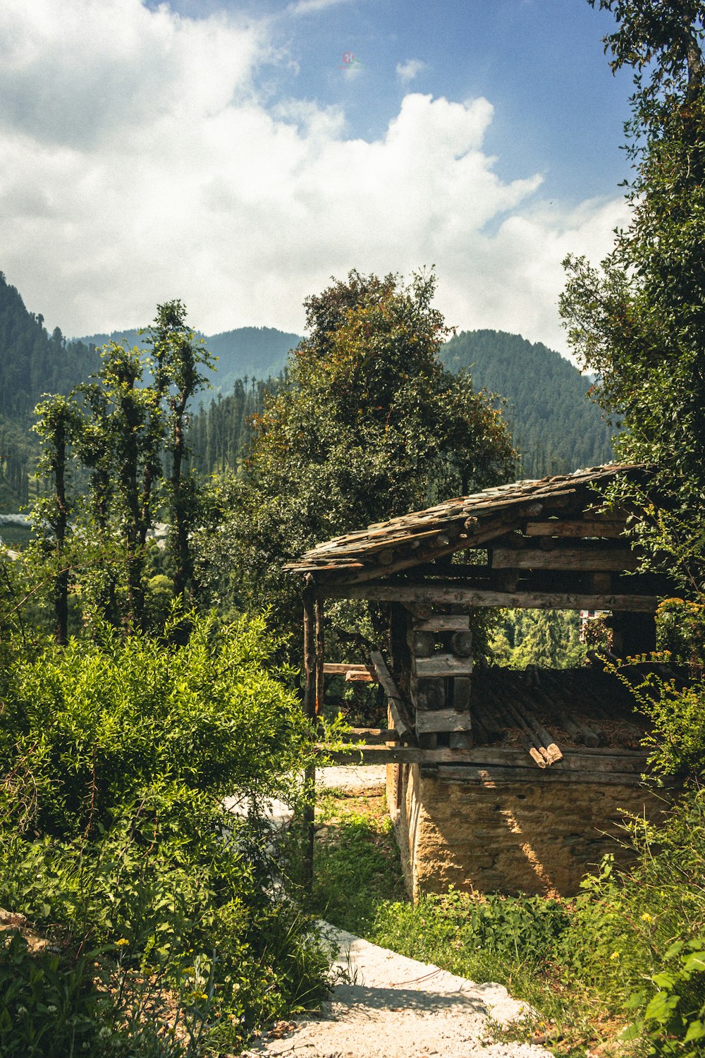 a wooden shelter in the middle of a forest