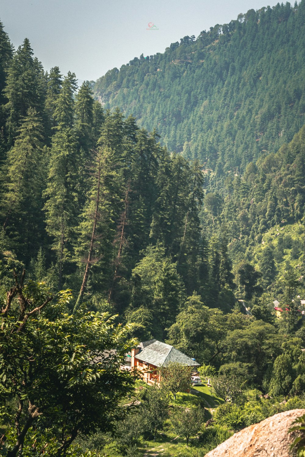 a cabin nestled in the middle of a forest