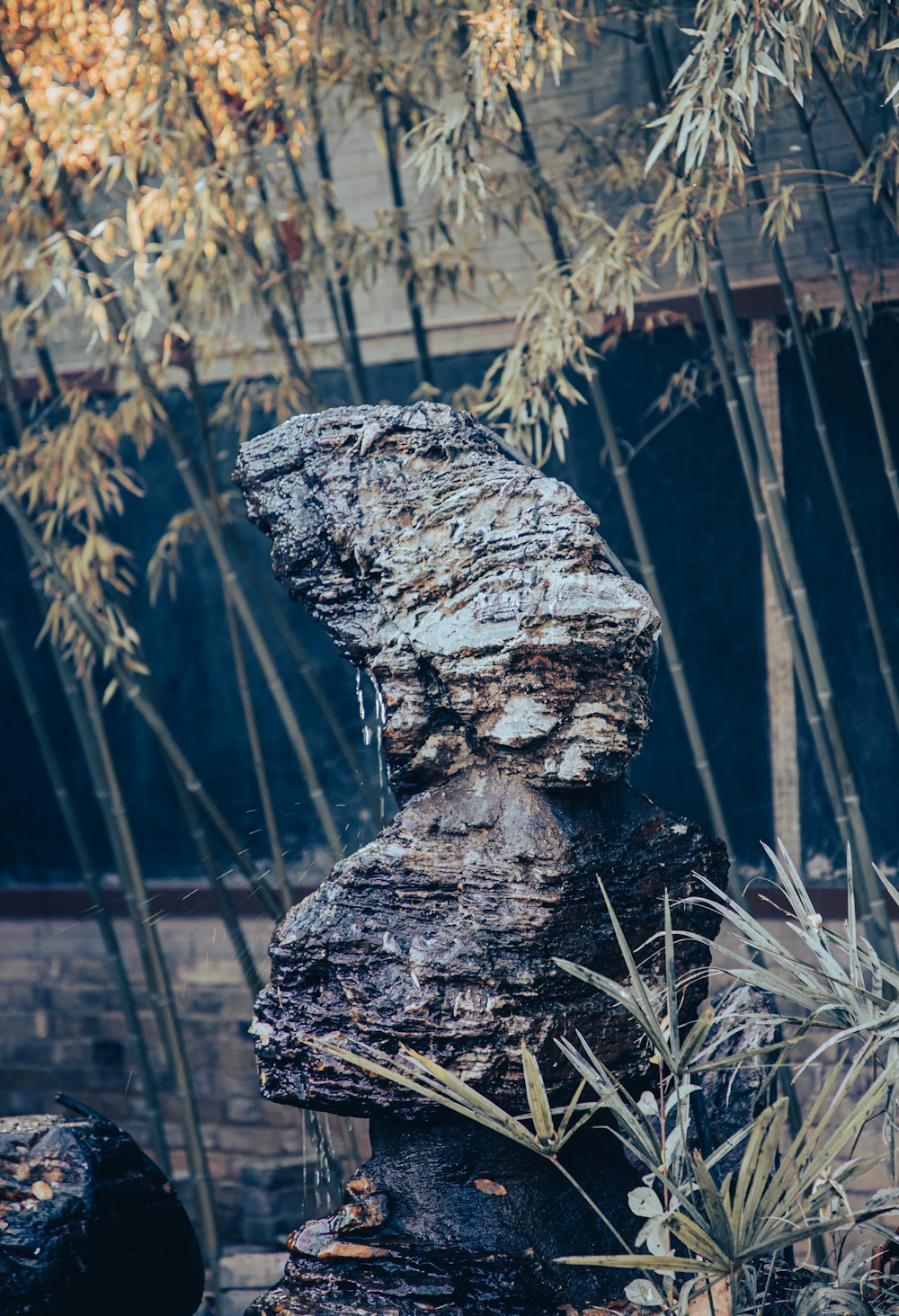 a rock formation in front of a bamboo tree