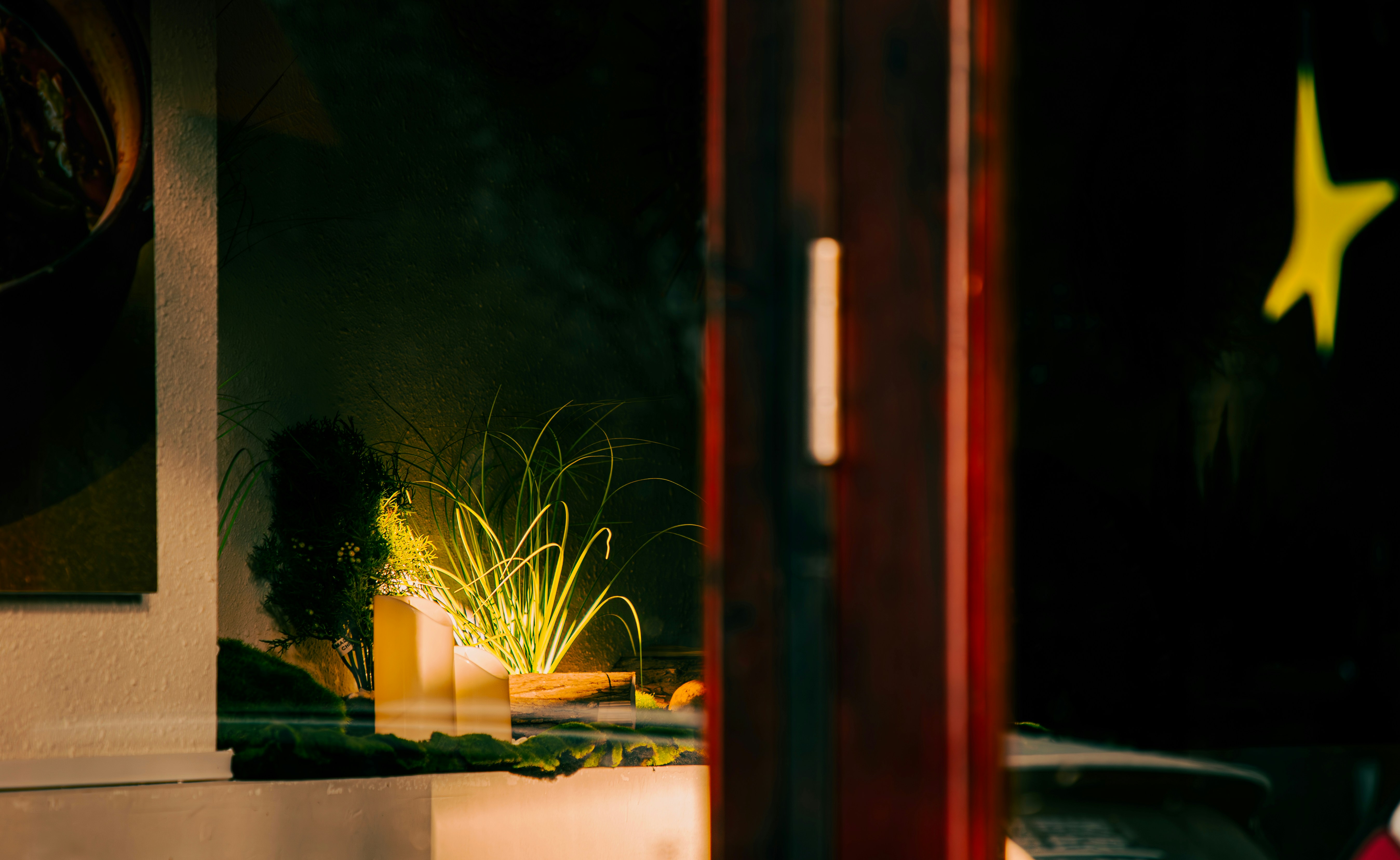 Photo by douglasalan