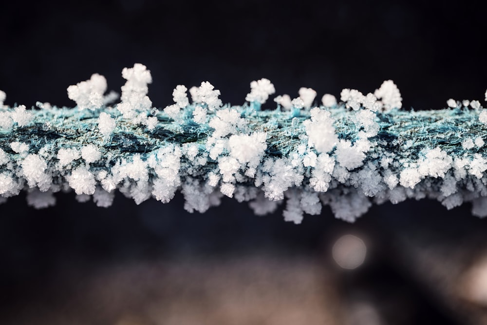 a close up of snow flakes on a branch