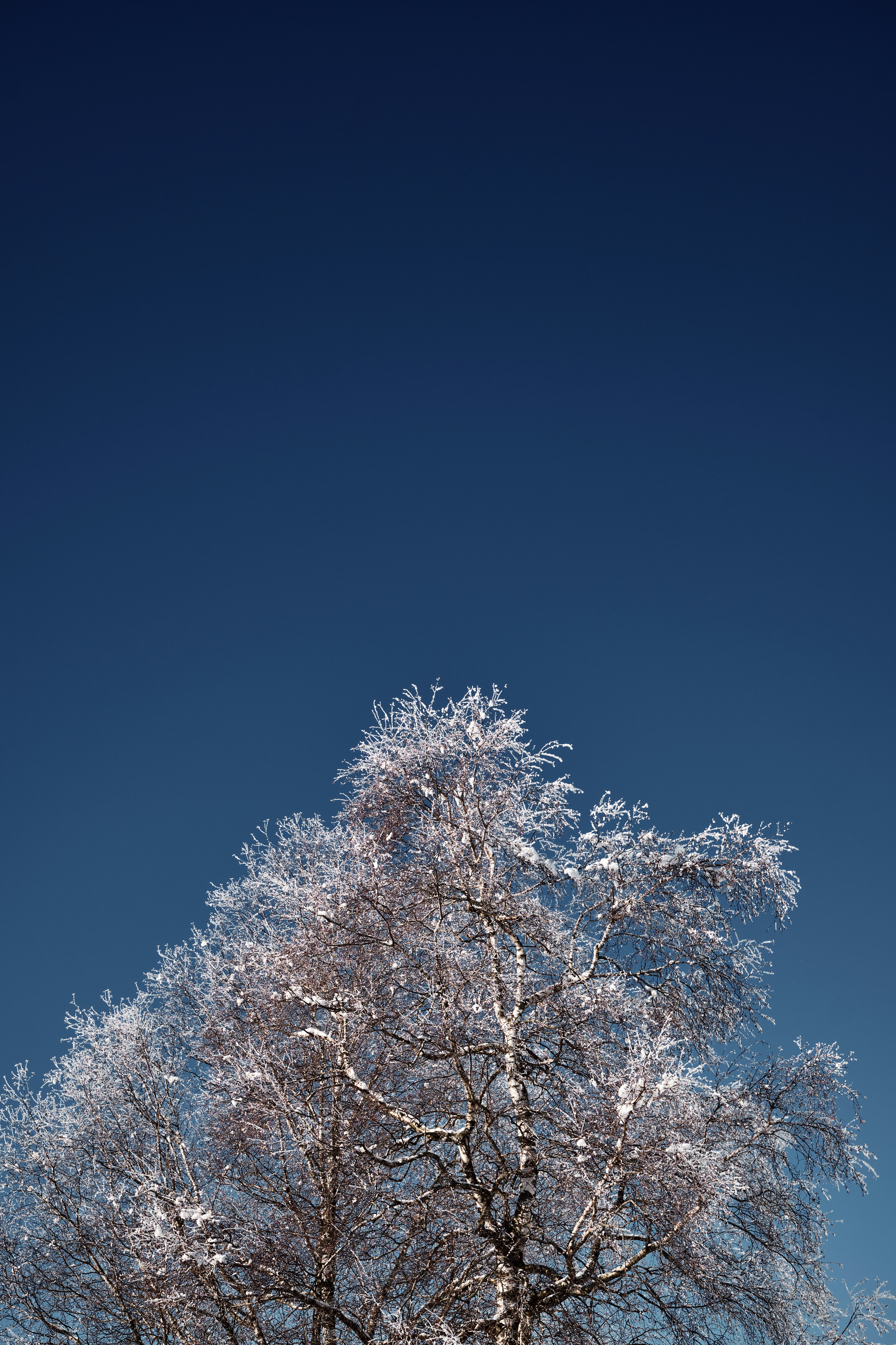 Photo by marcus_ganahl