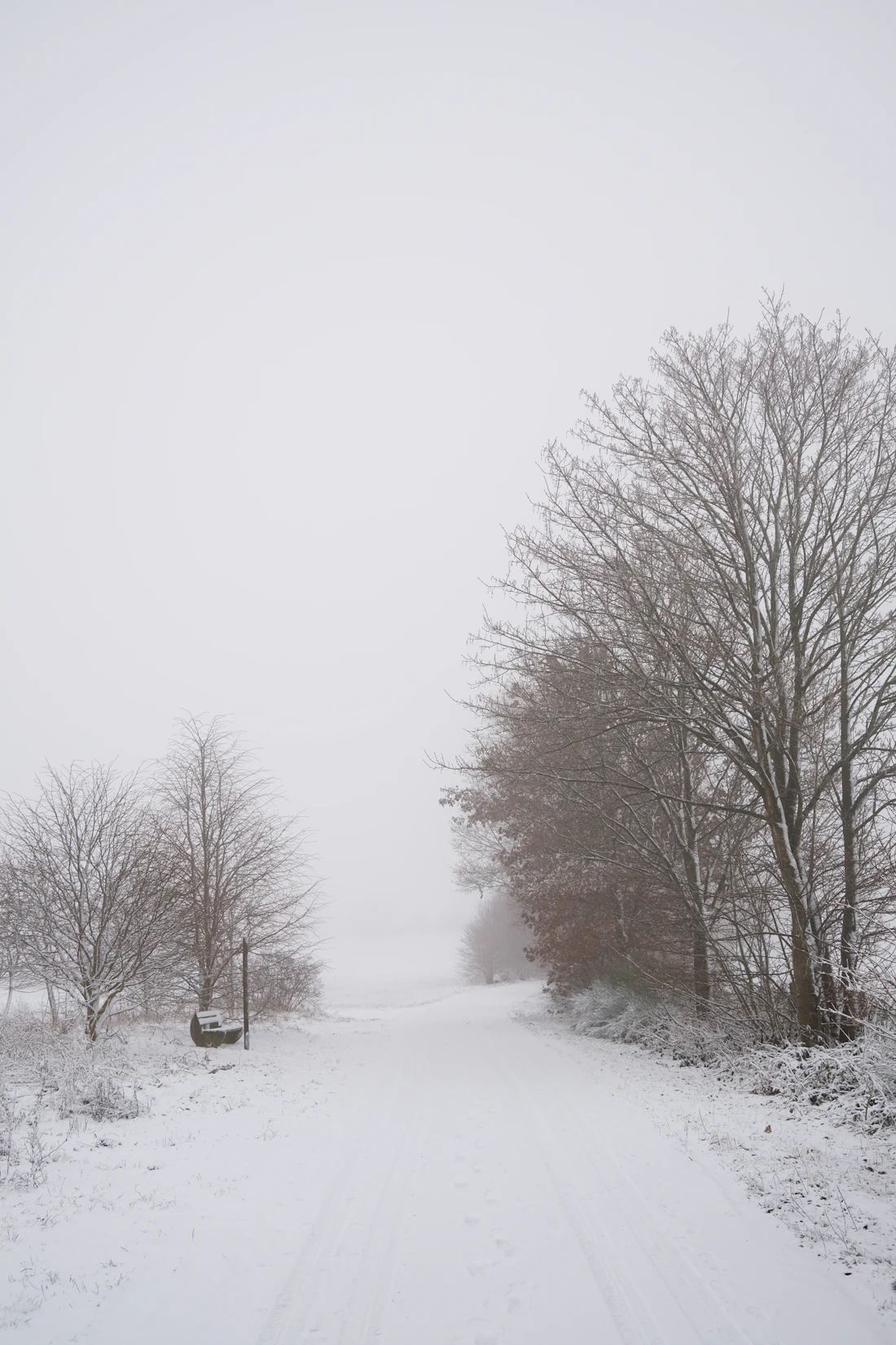 Besneeuwde weg tussen bomen in het Sauerland