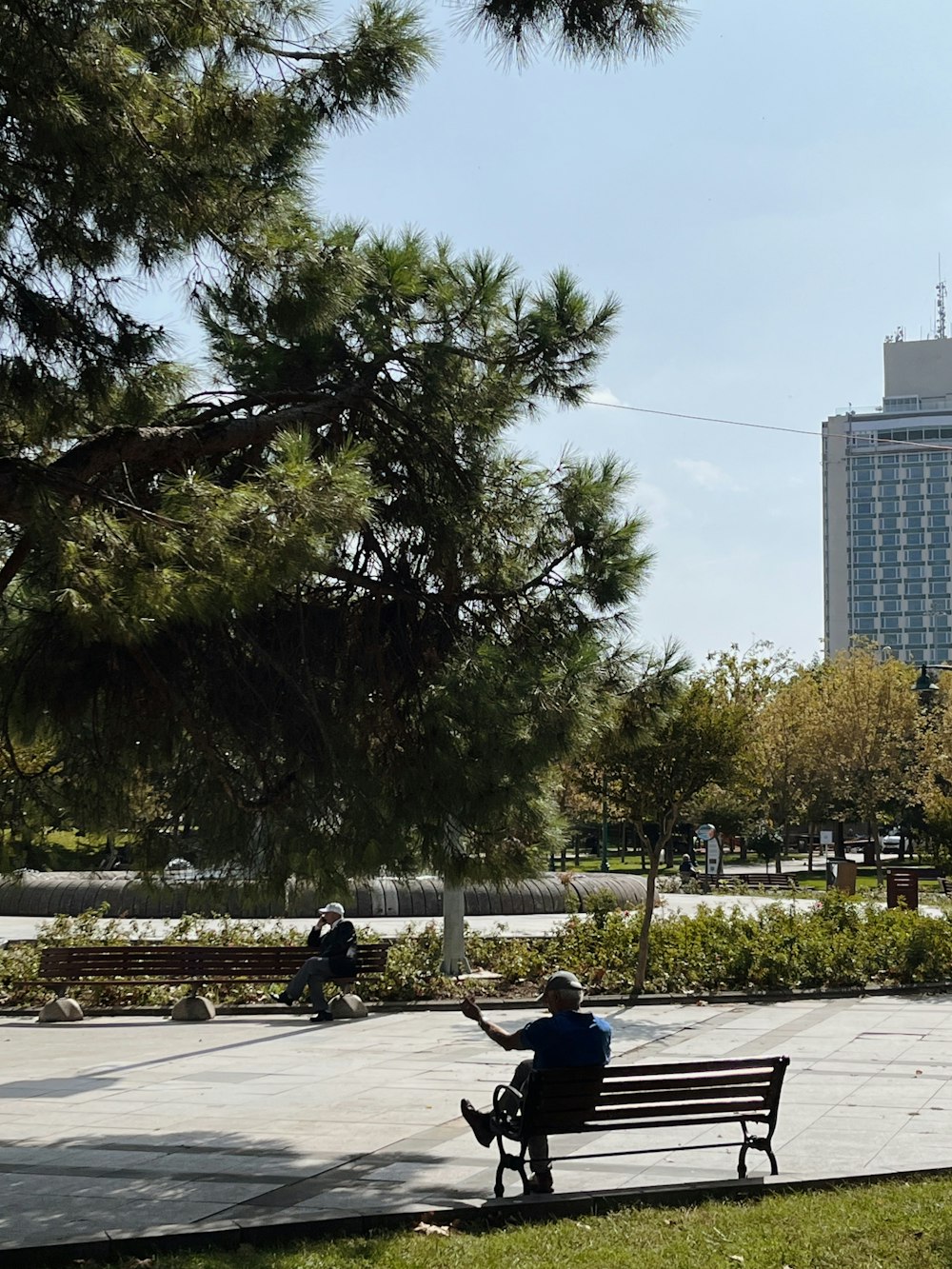 a man sitting on a bench in a park