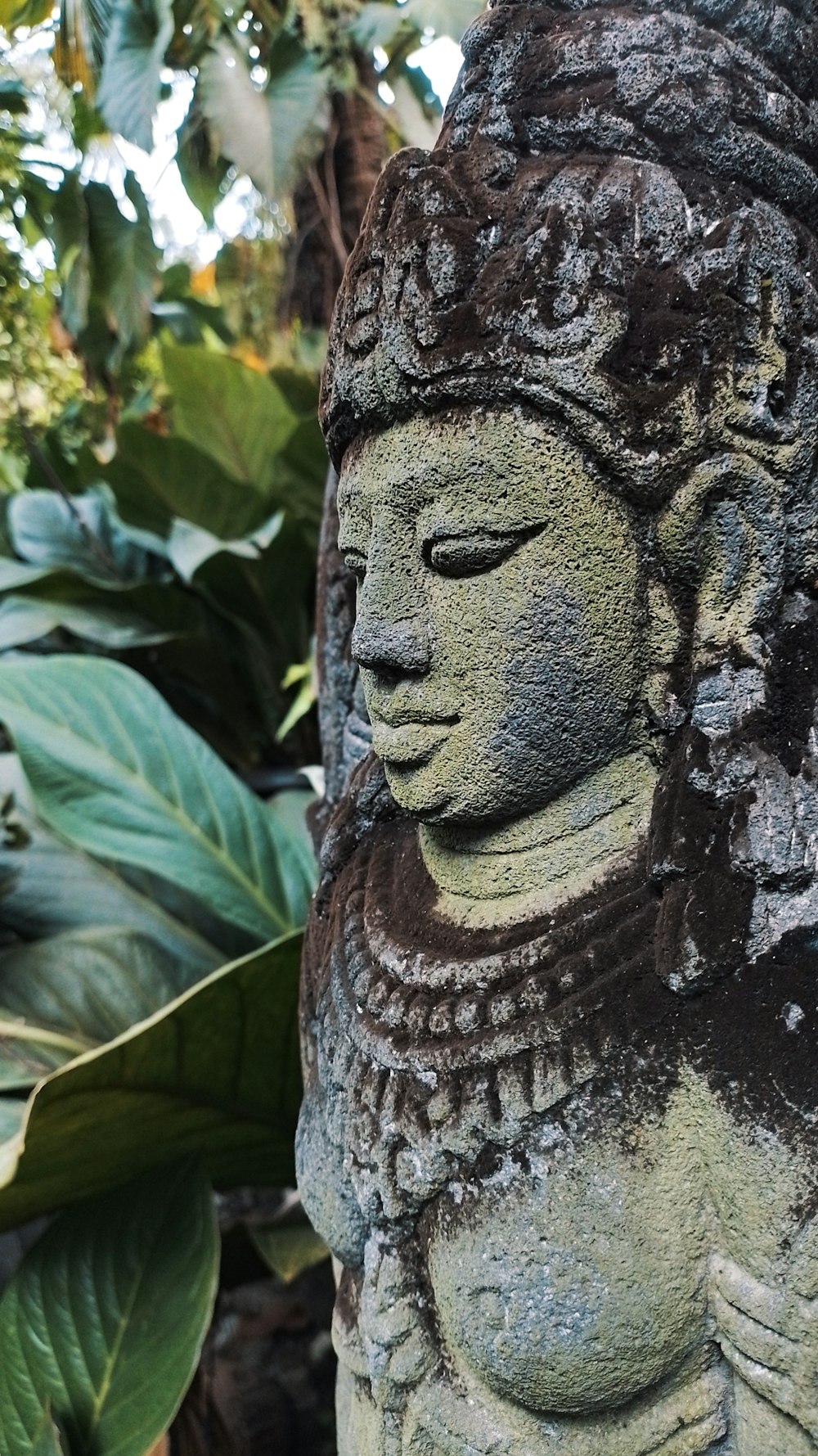 a close up of a statue on a tree