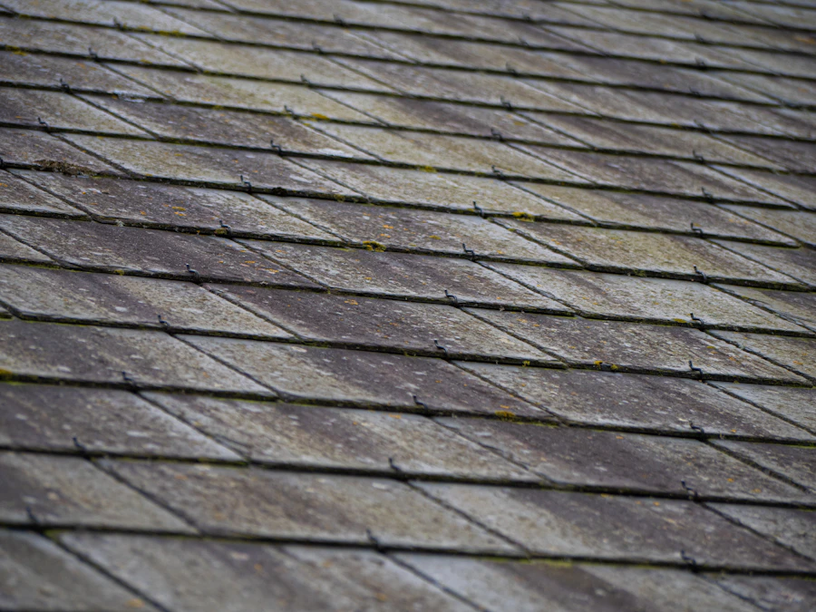 Avant intervention — Démoussage & traitement — toiture tavaillon de bois