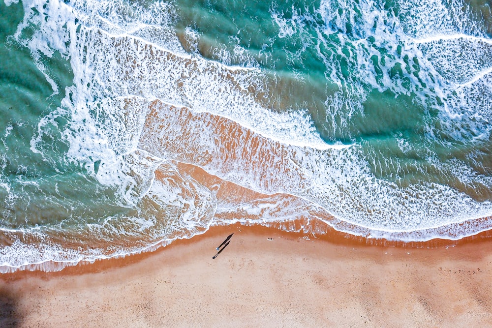 an aerial view of a beach and ocean