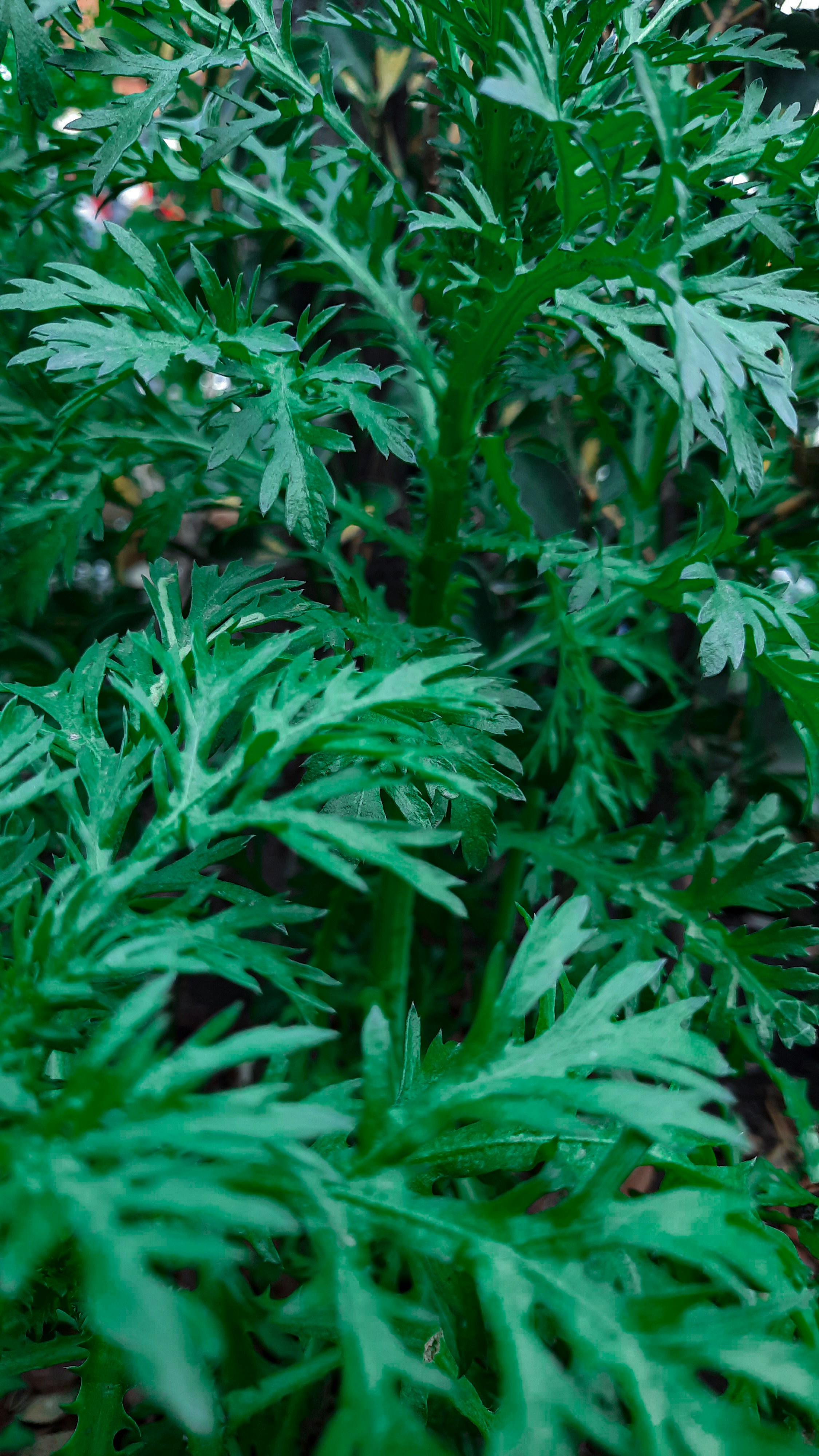 Photo by fatima_mk79