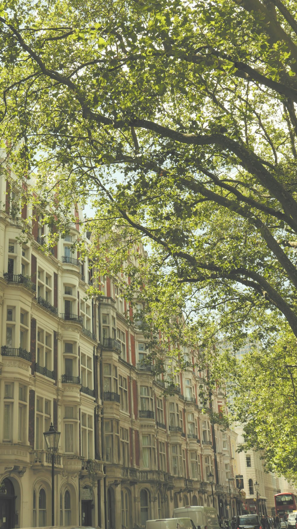 a row of buildings on a tree lined street