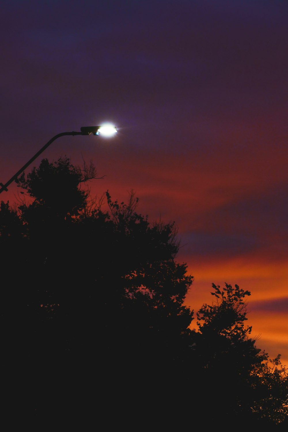un lampadaire et quelques arbres au coucher du soleil