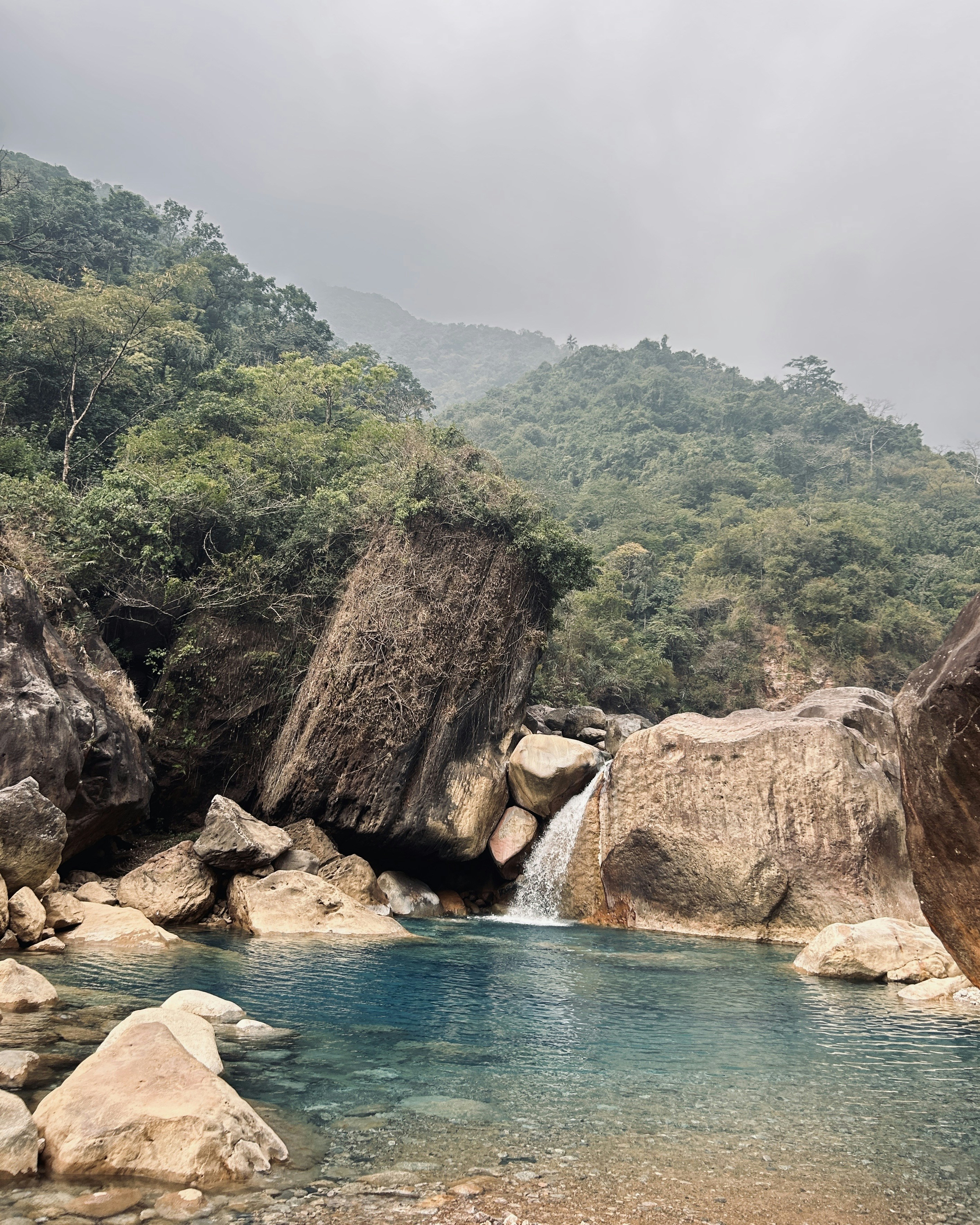 Living Root Bridge Pictures | Download Free Images on Unsplash