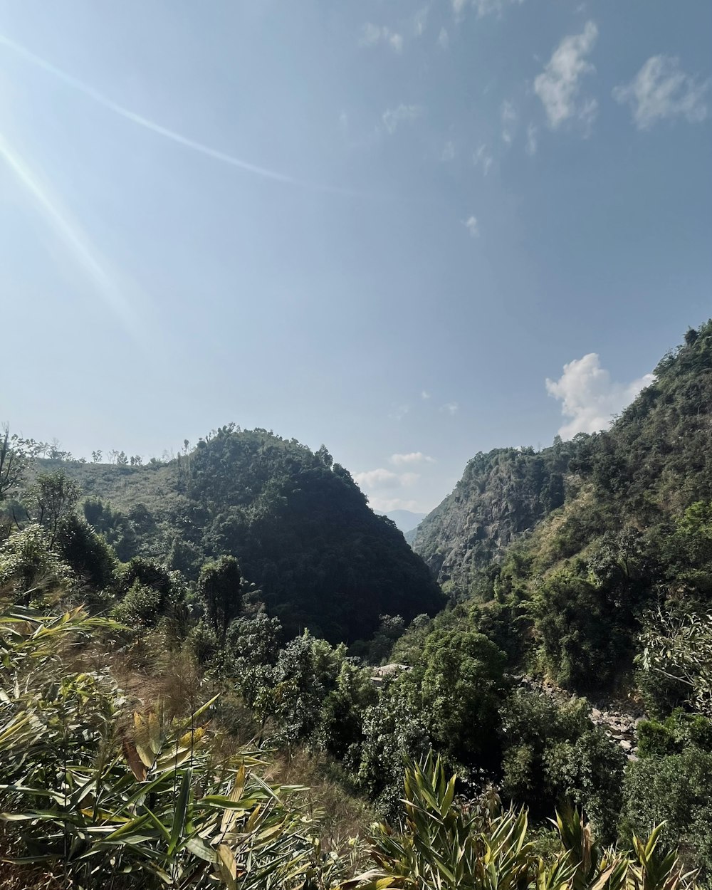 a scenic view of a mountain with trees and bushes