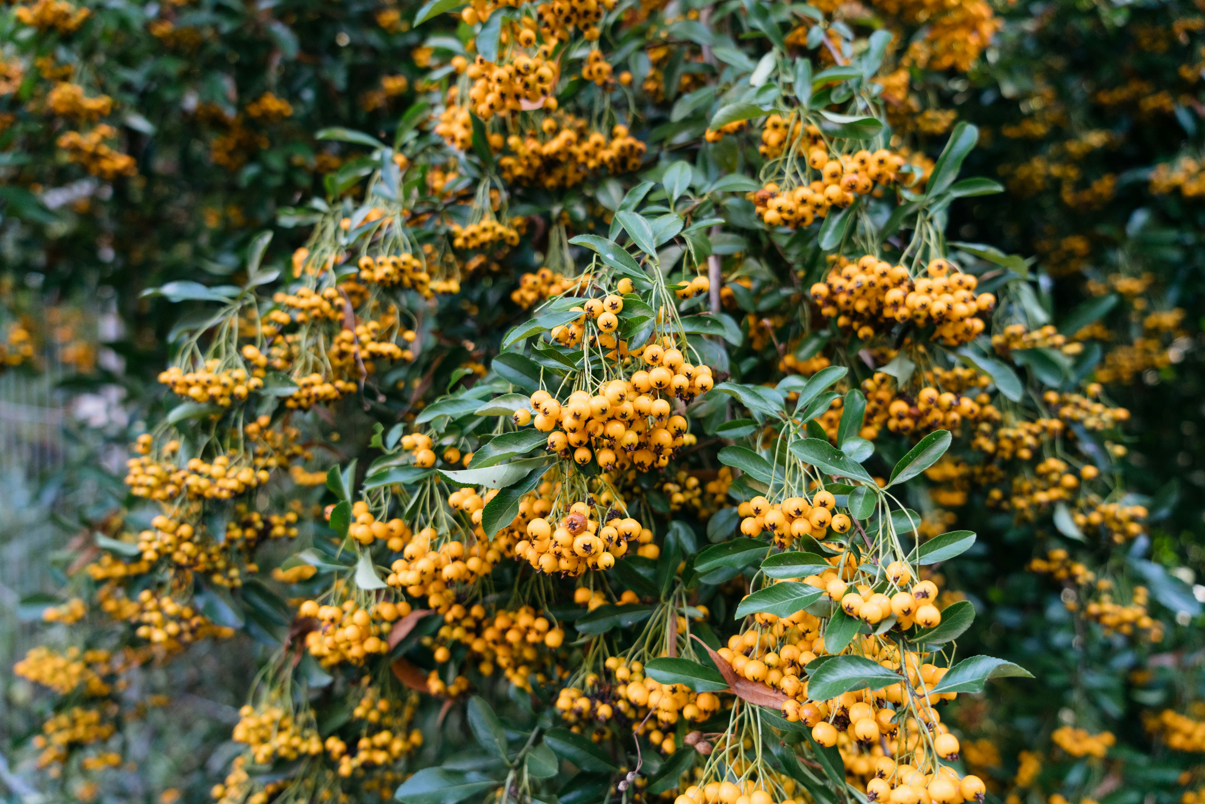 Photo by markuswinkler