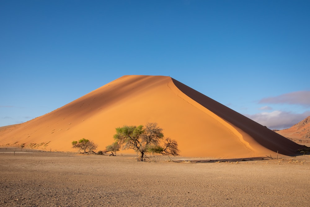 a lone tree in the middle of a desert