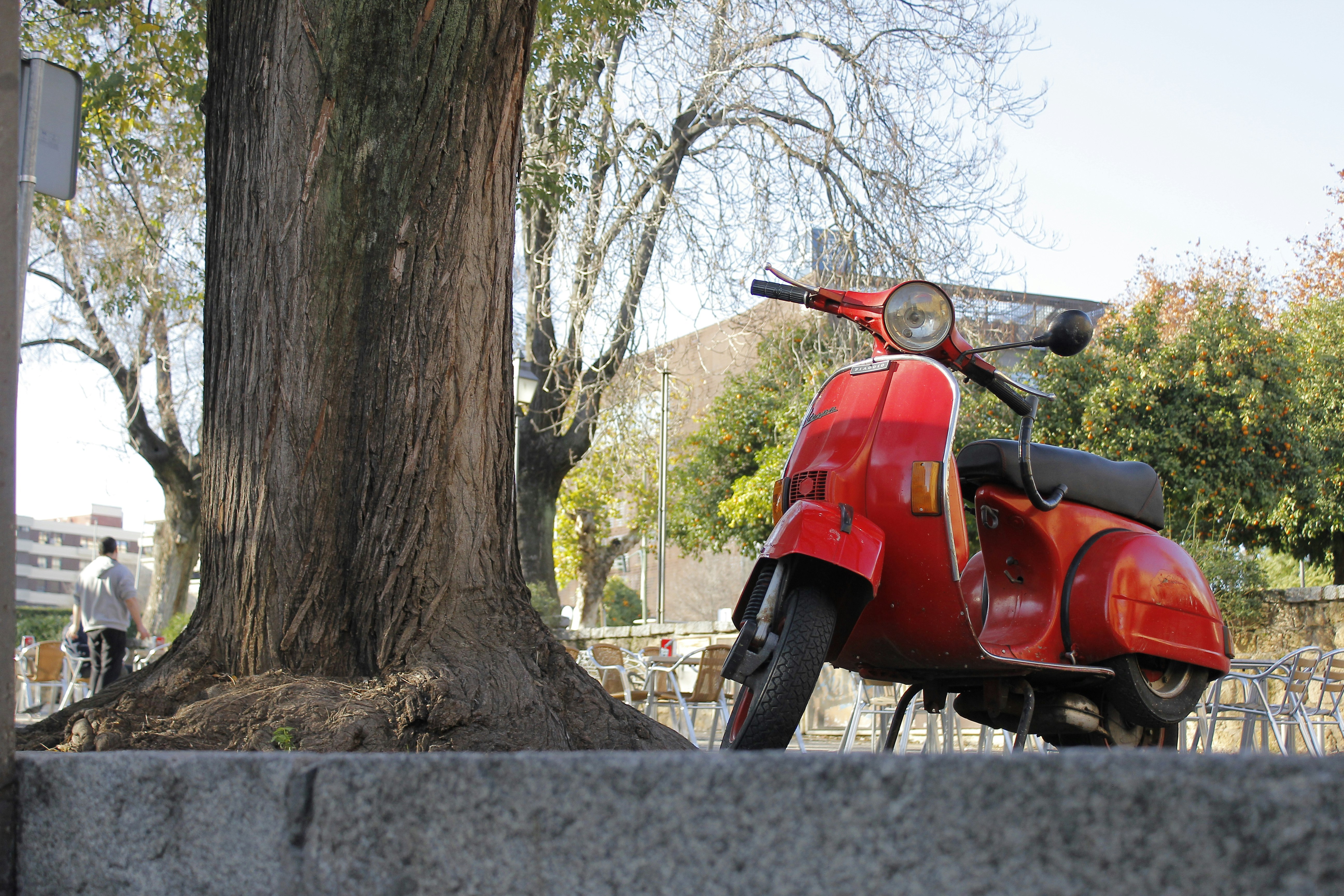A red scooter parked next to a tree photo – Free Córdoba Image on Unsplash