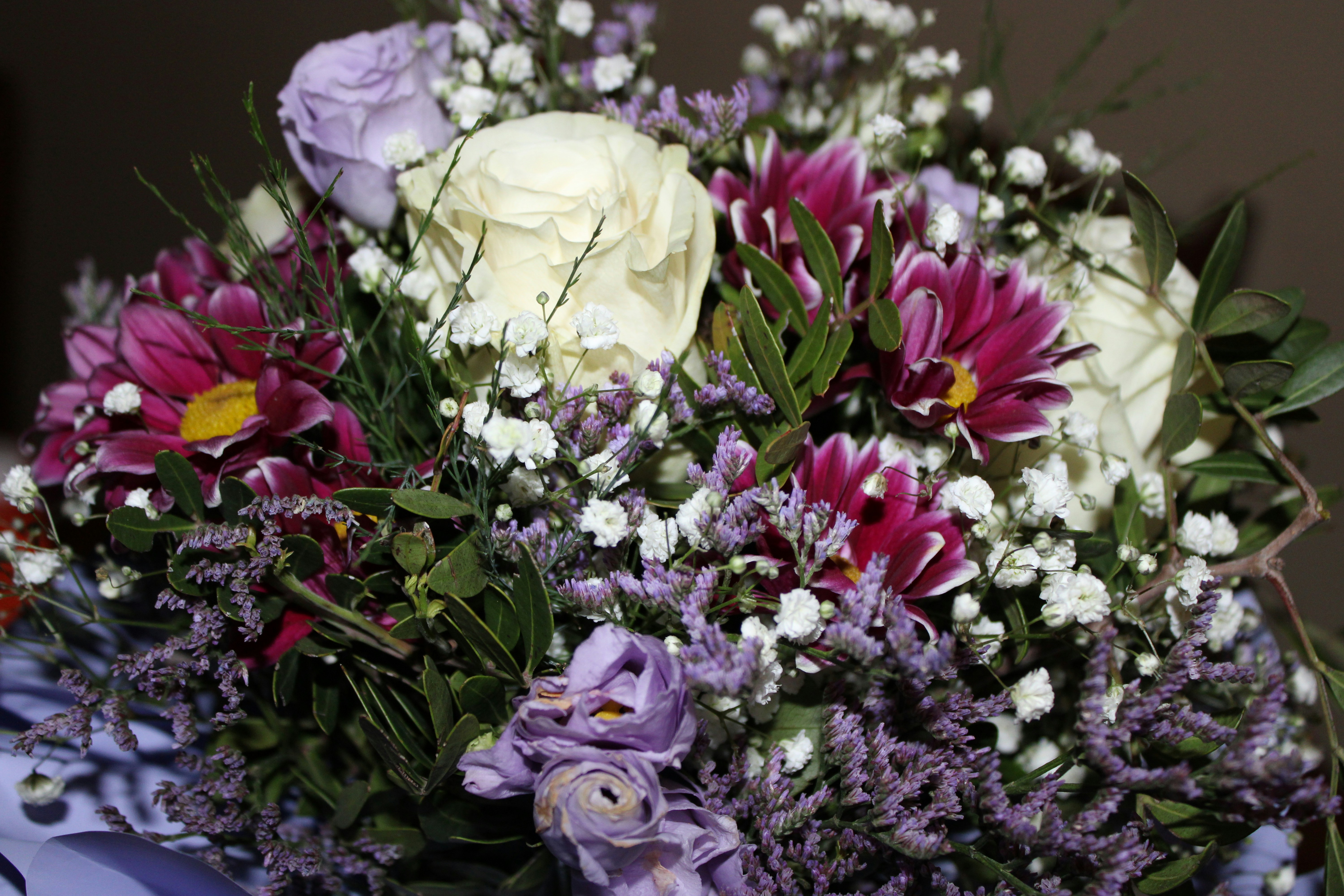 Photo by martapedich