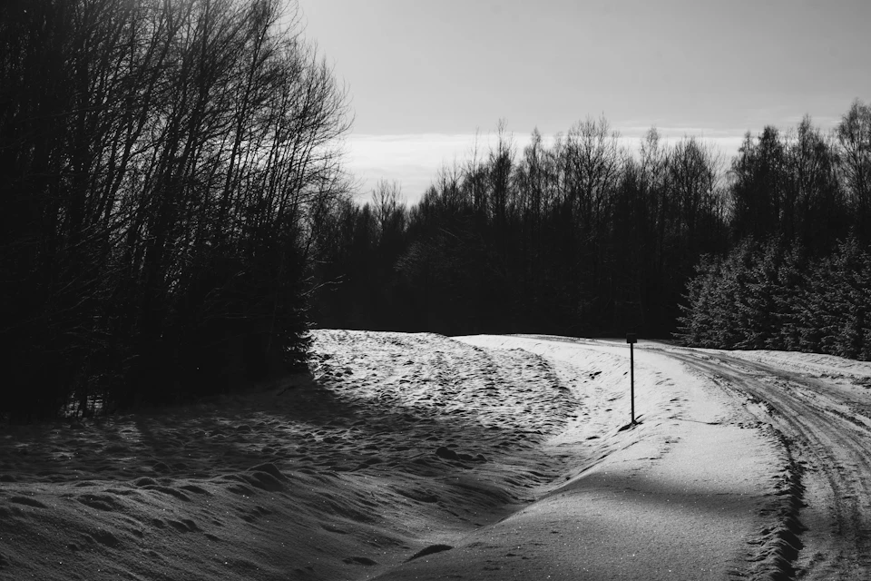 Snow-covered road winds through forested area with bare trees on either side in winter landscape