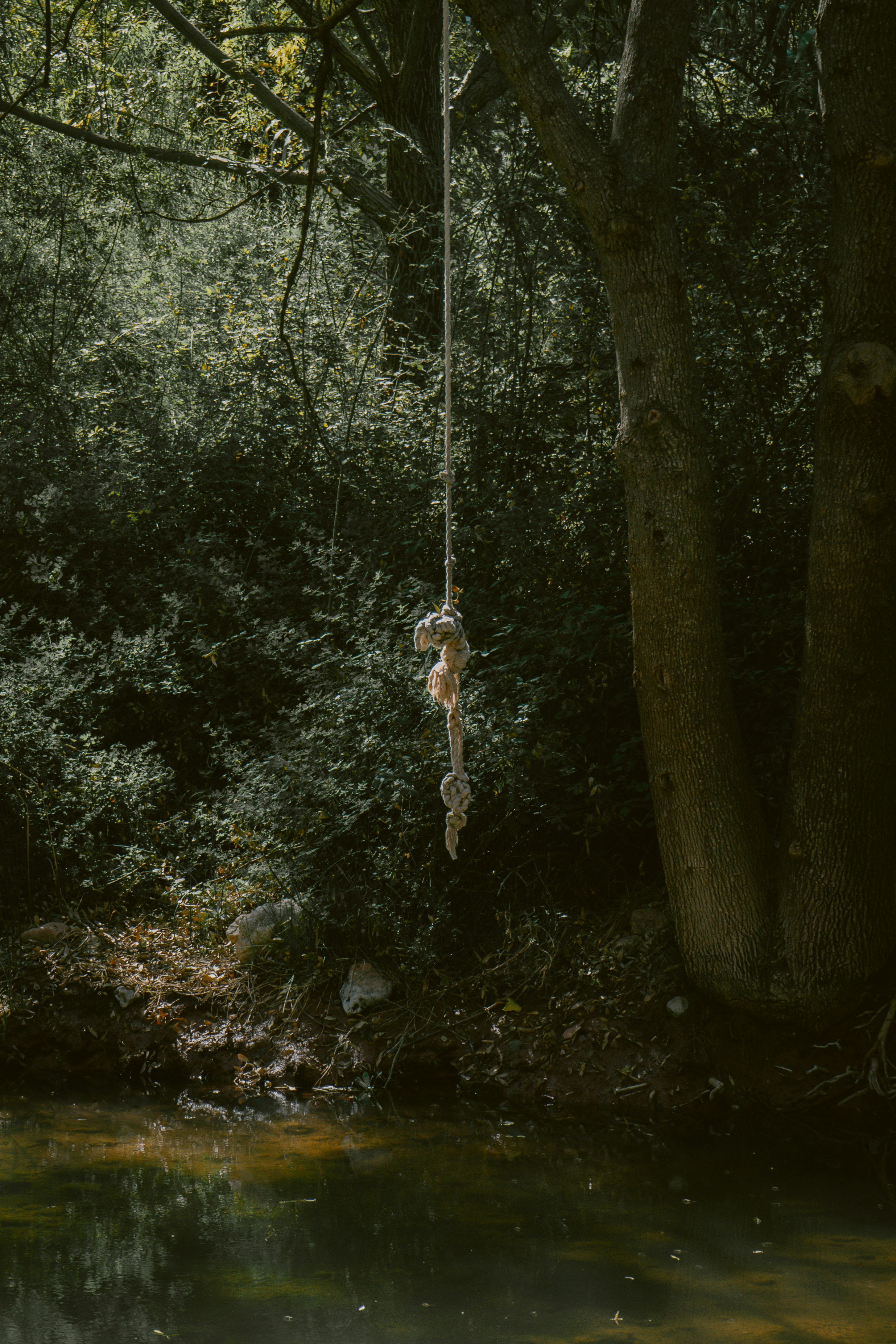 Photo by mariasolponce