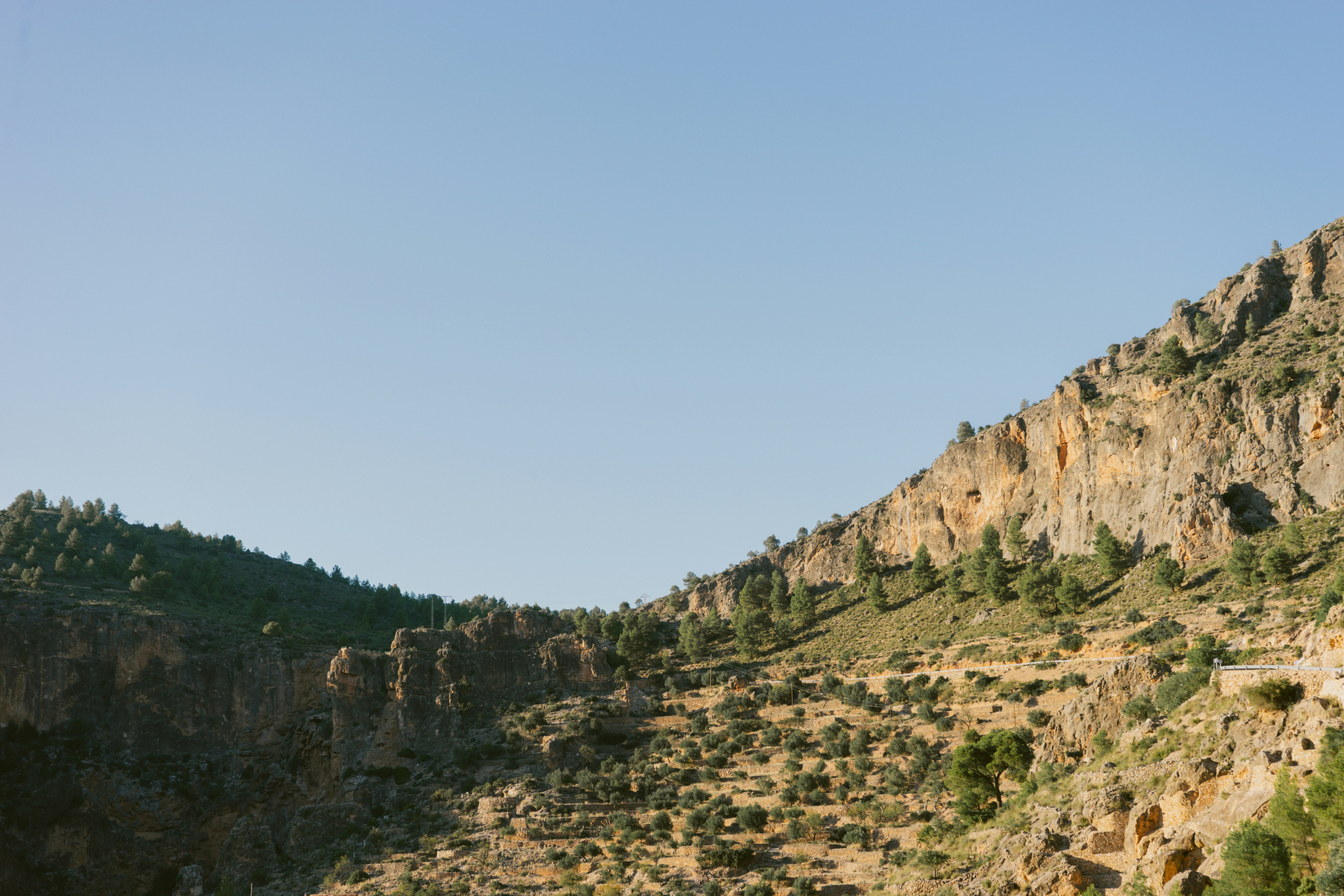 a view of a mountain side with trees on the side