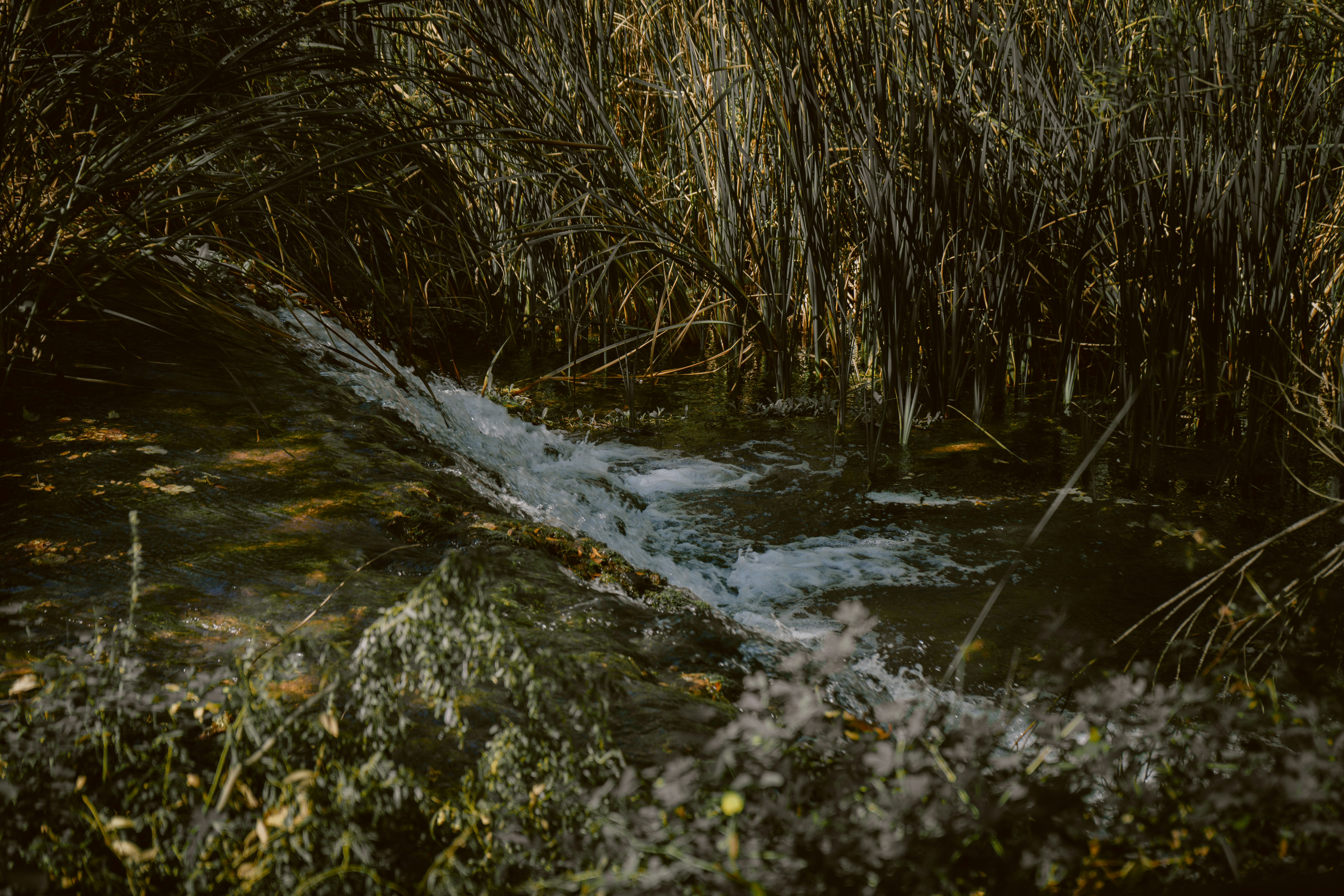 Photo by mariasolponce