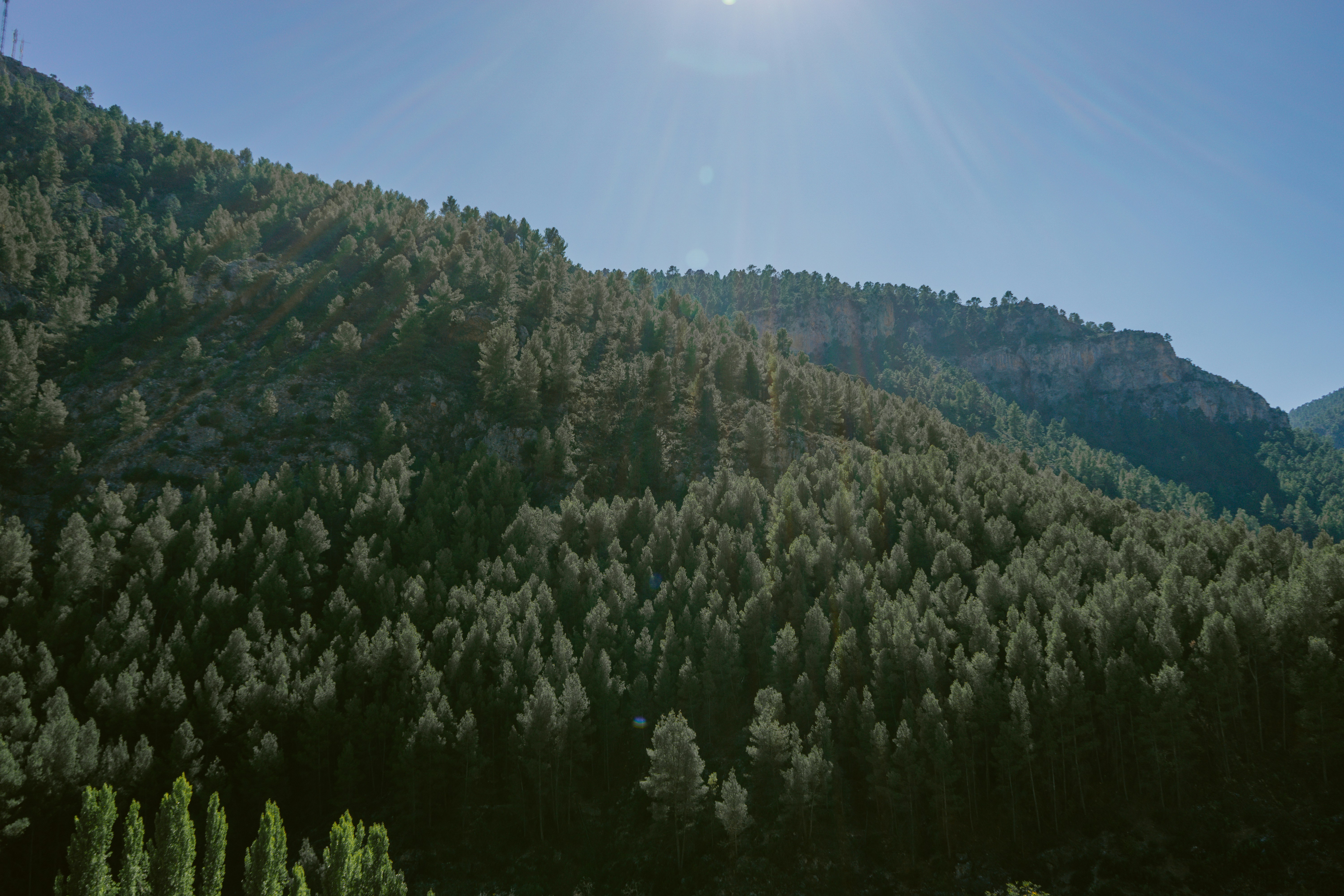 Photo by mariasolponce