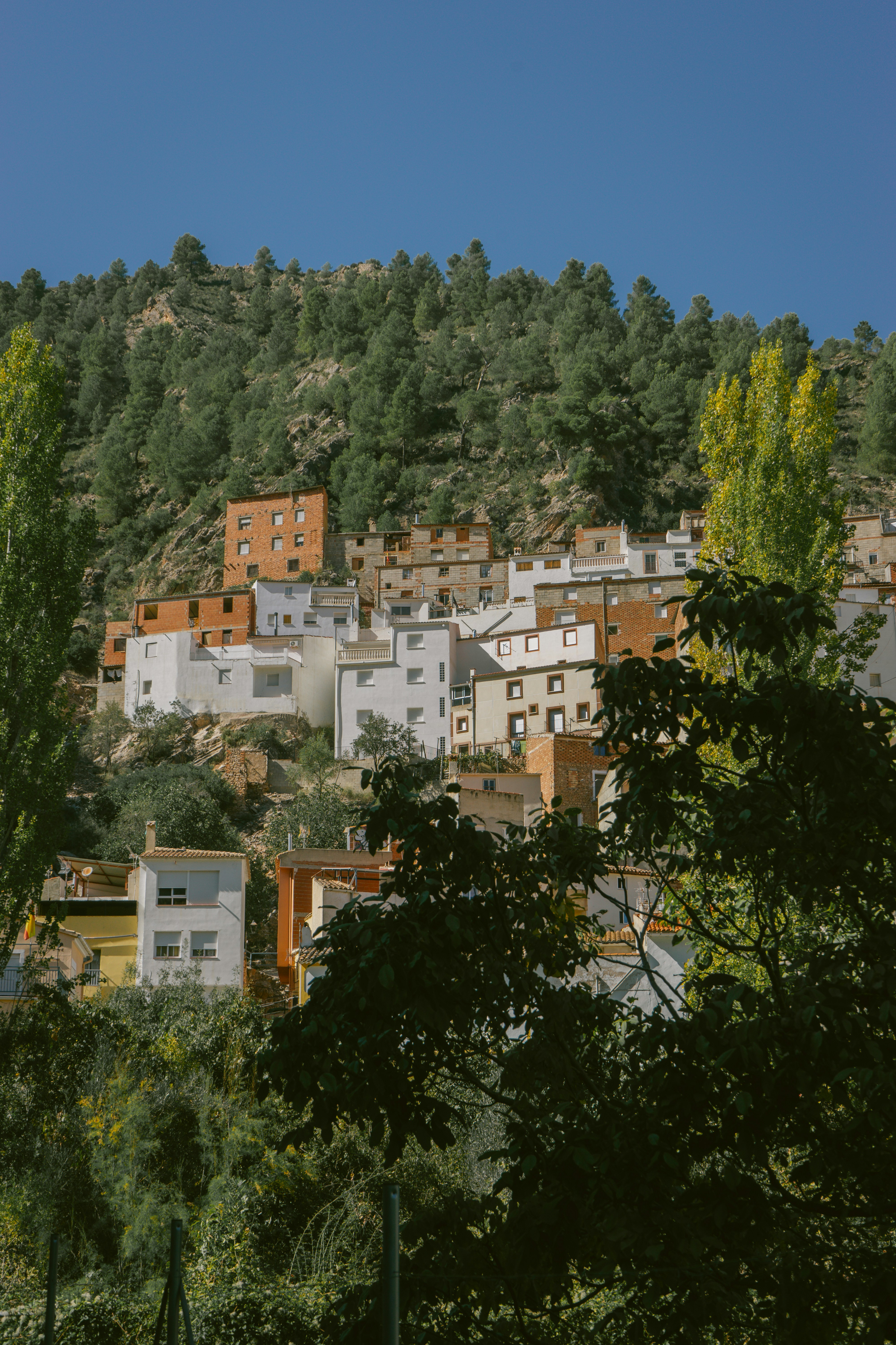 Photo by mariasolponce