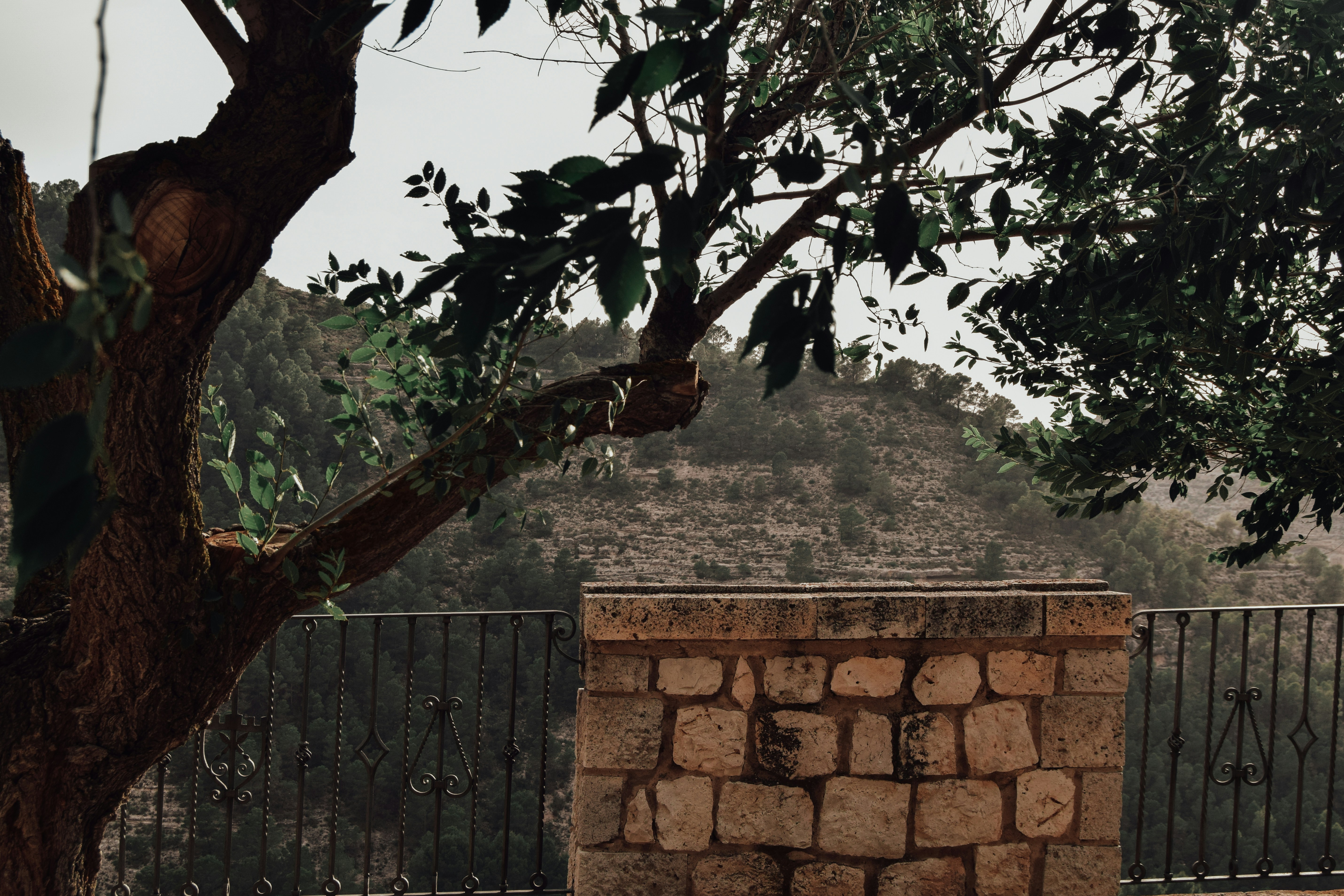 Photo by mariasolponce