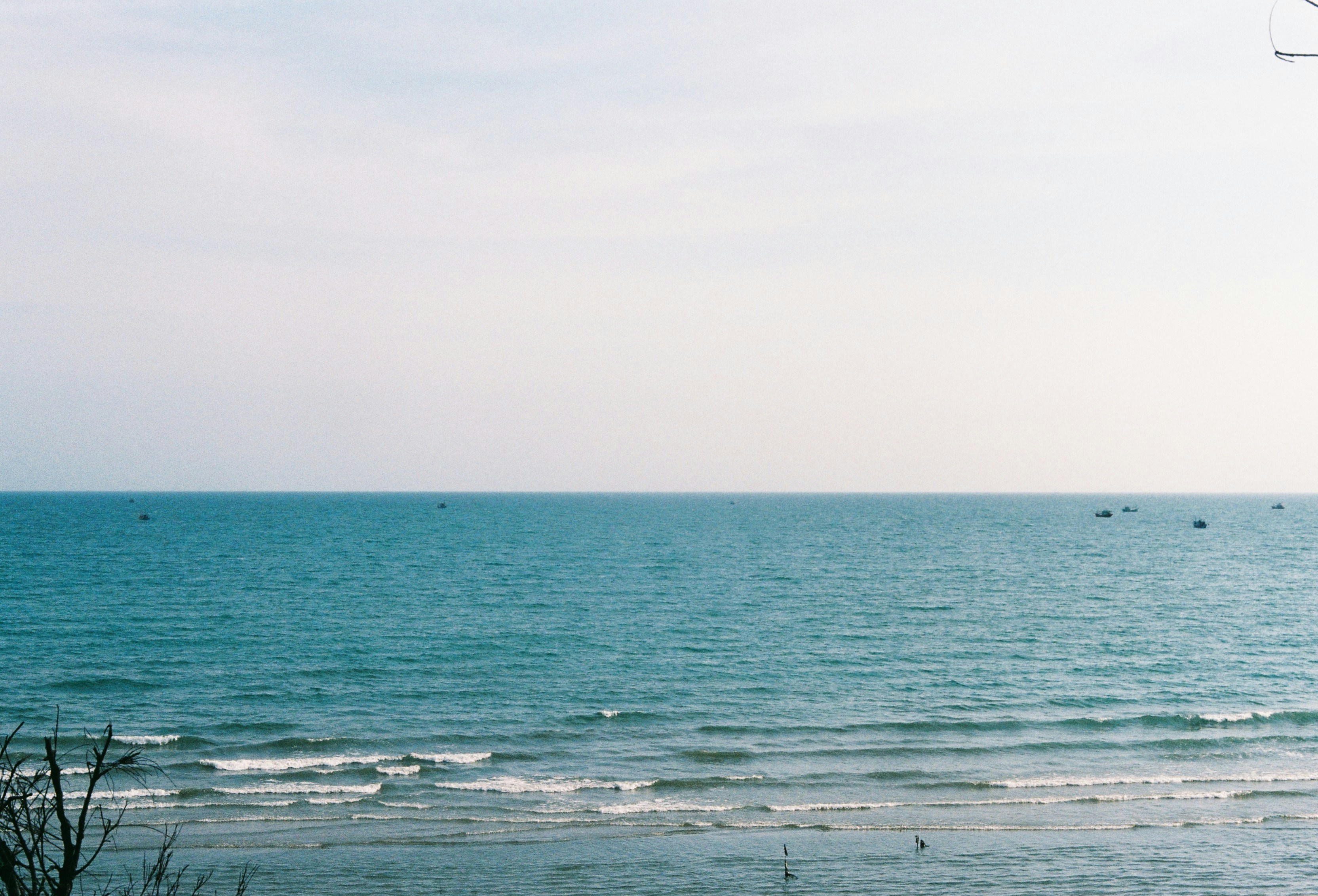 Photo by cuonfilmcuala