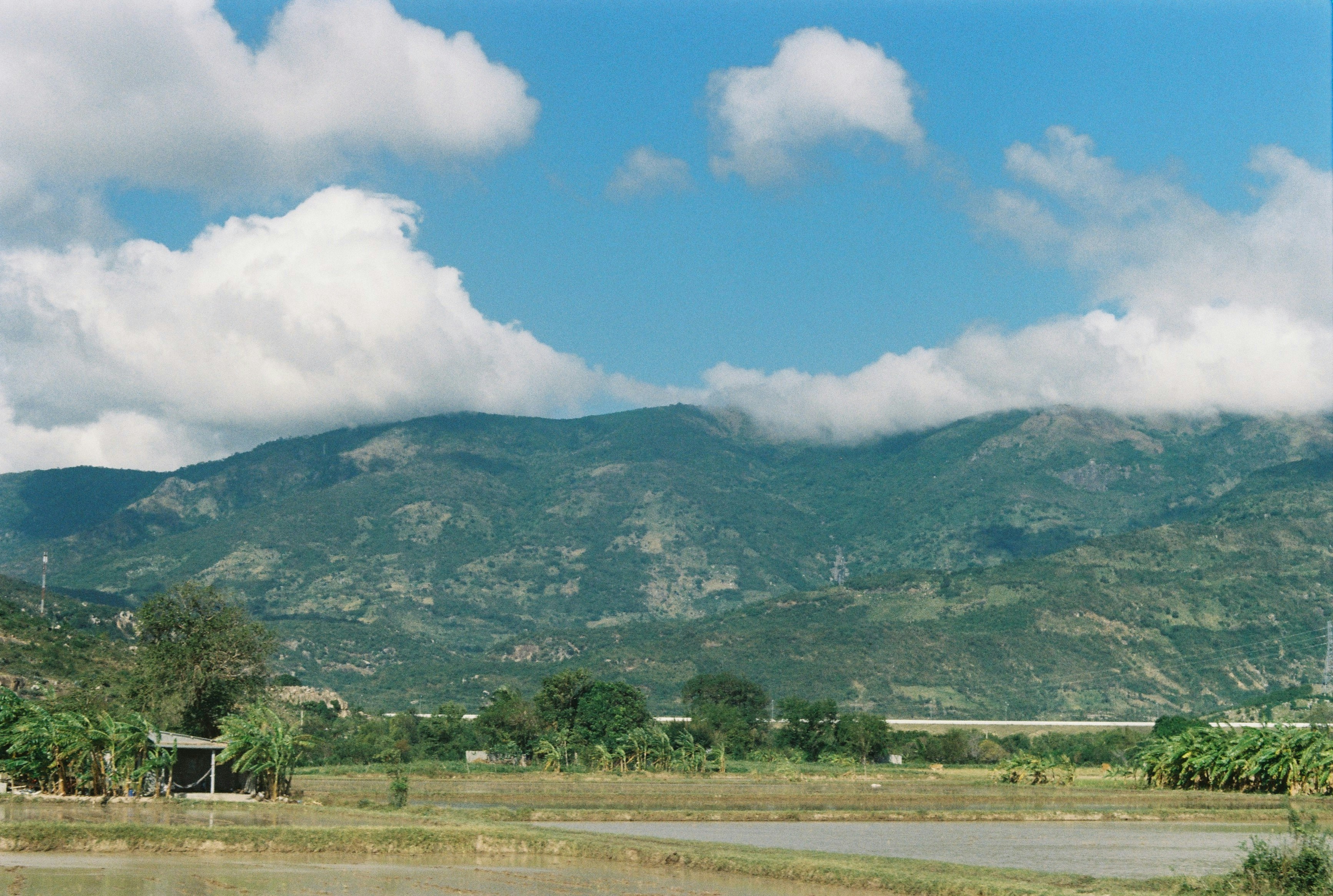 Photo by cuonfilmcuala