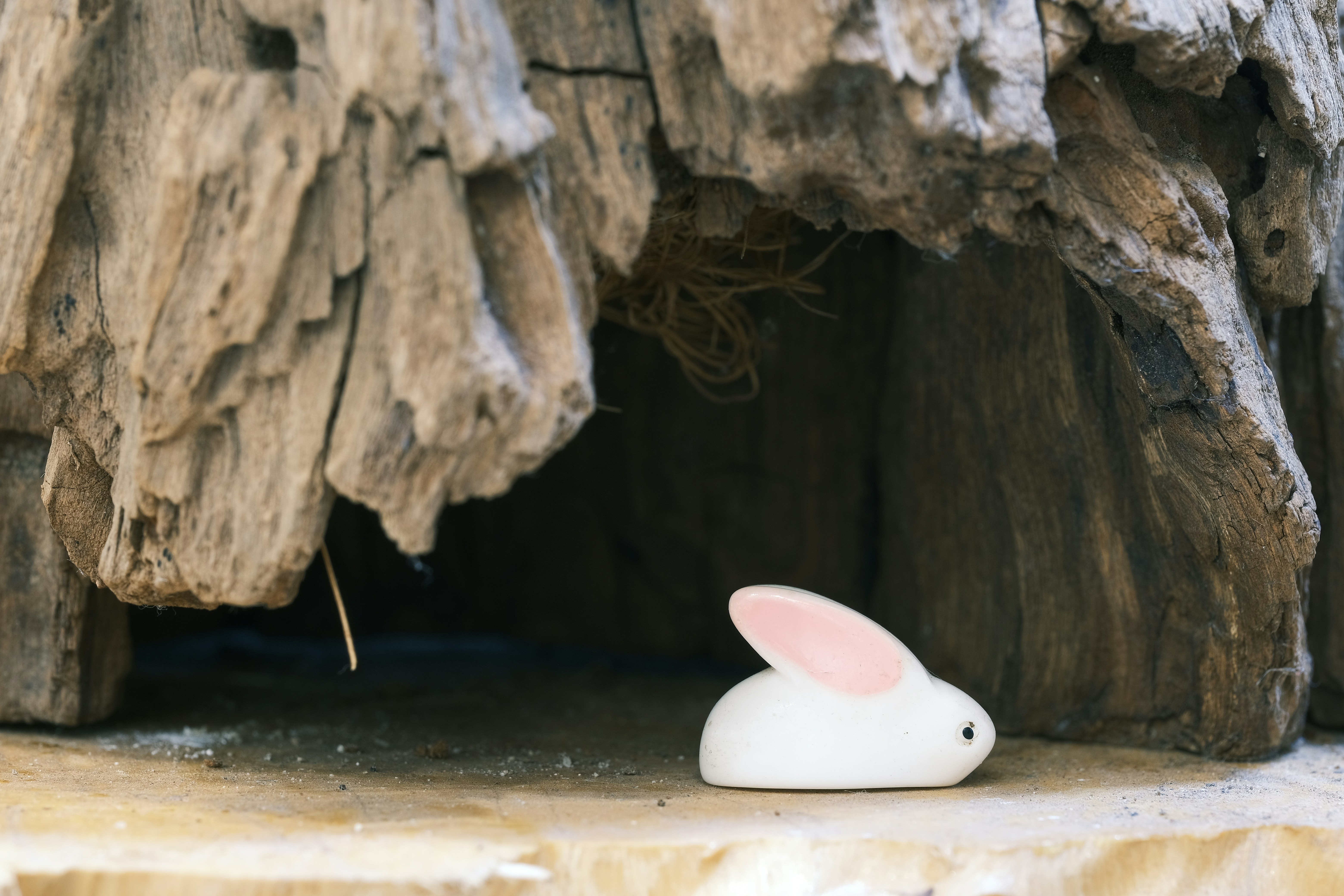 Rabbit holes. 6 tematów, które ostatnio mnie wciągnęły